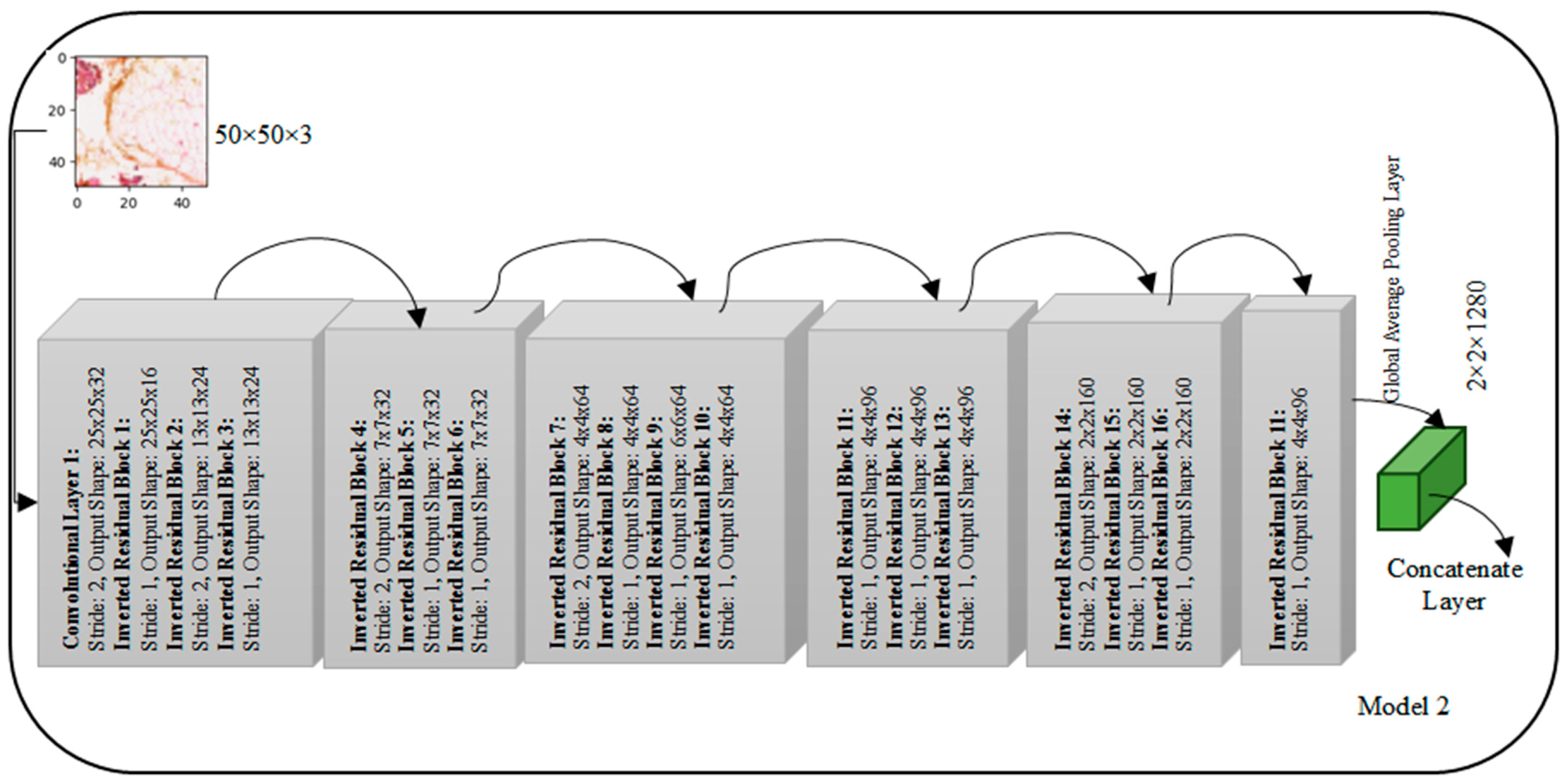 Diagnostics 14 00422 g004