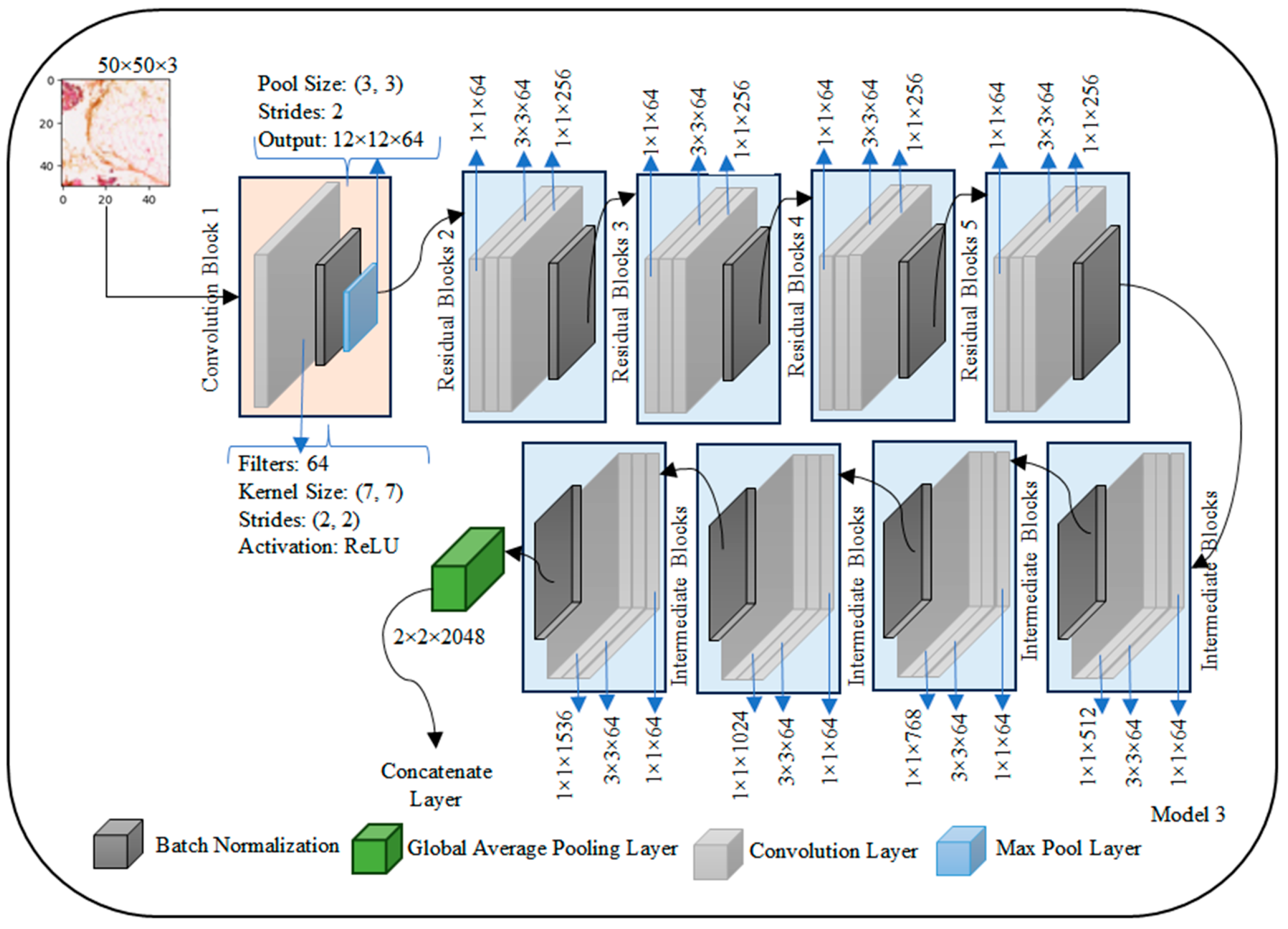 Diagnostics 14 00422 g005