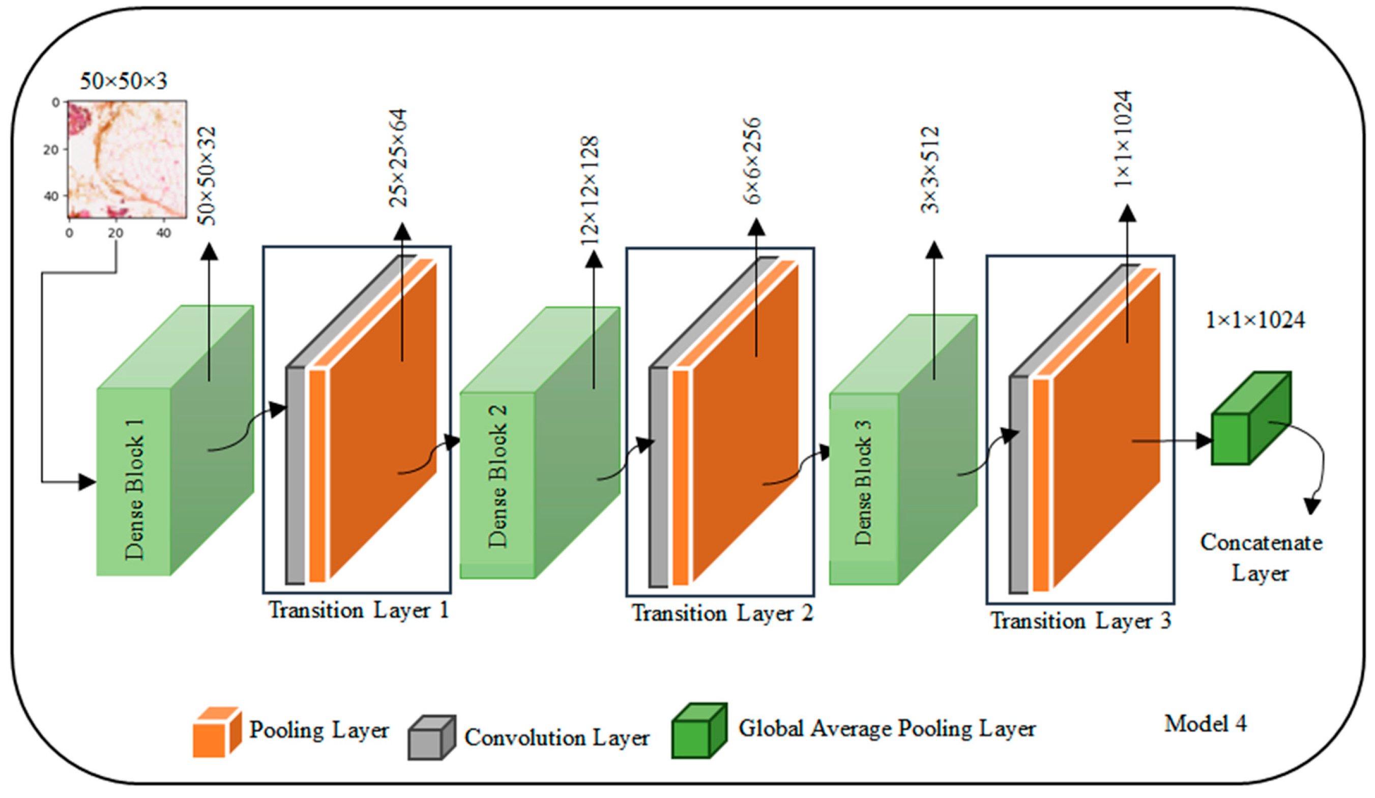 Diagnostics 14 00422 g006