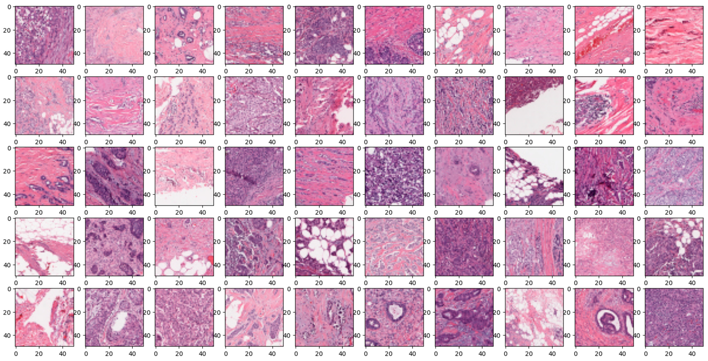 Diagnostics 14 00422 g008