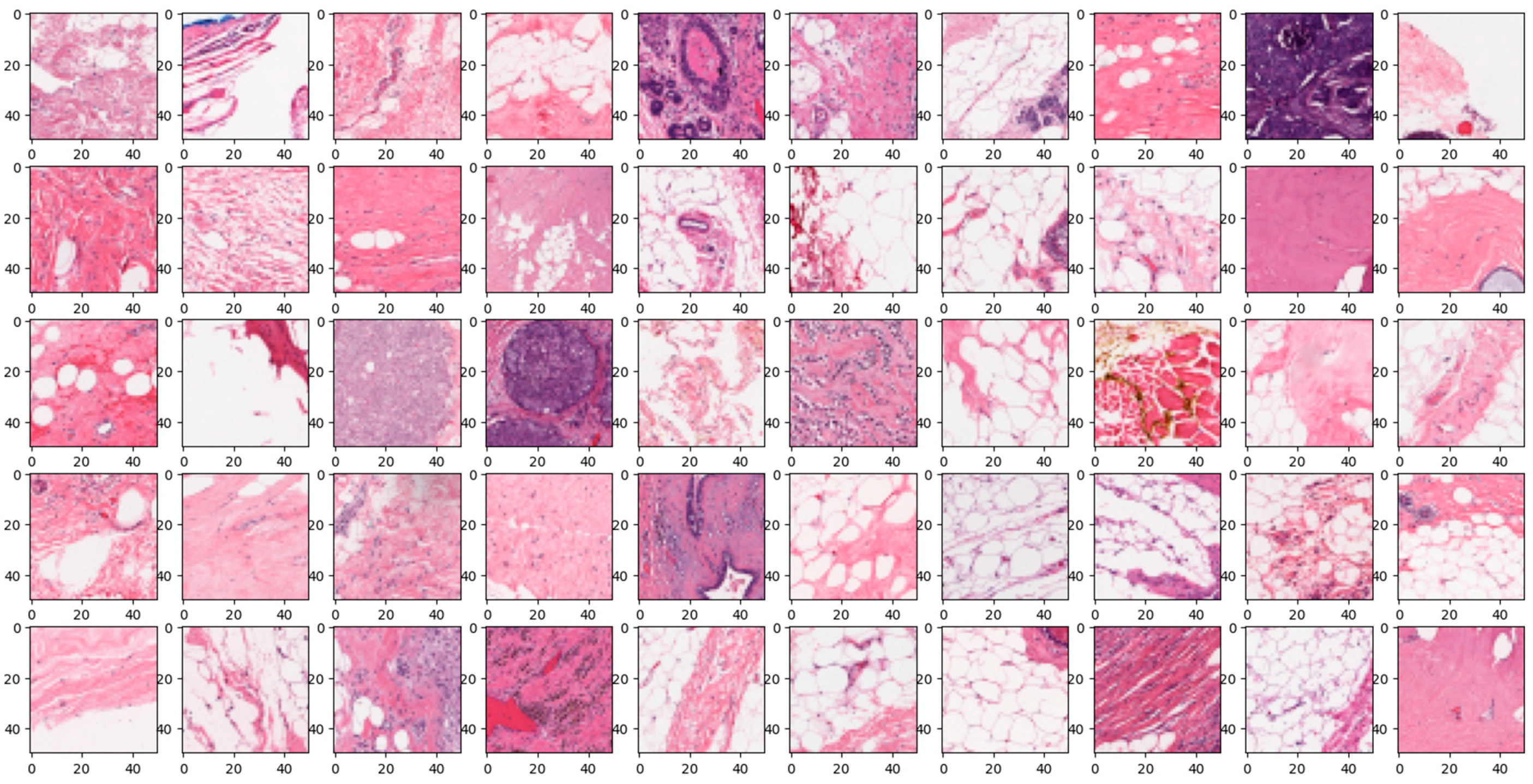 Diagnostics 14 00422 g009