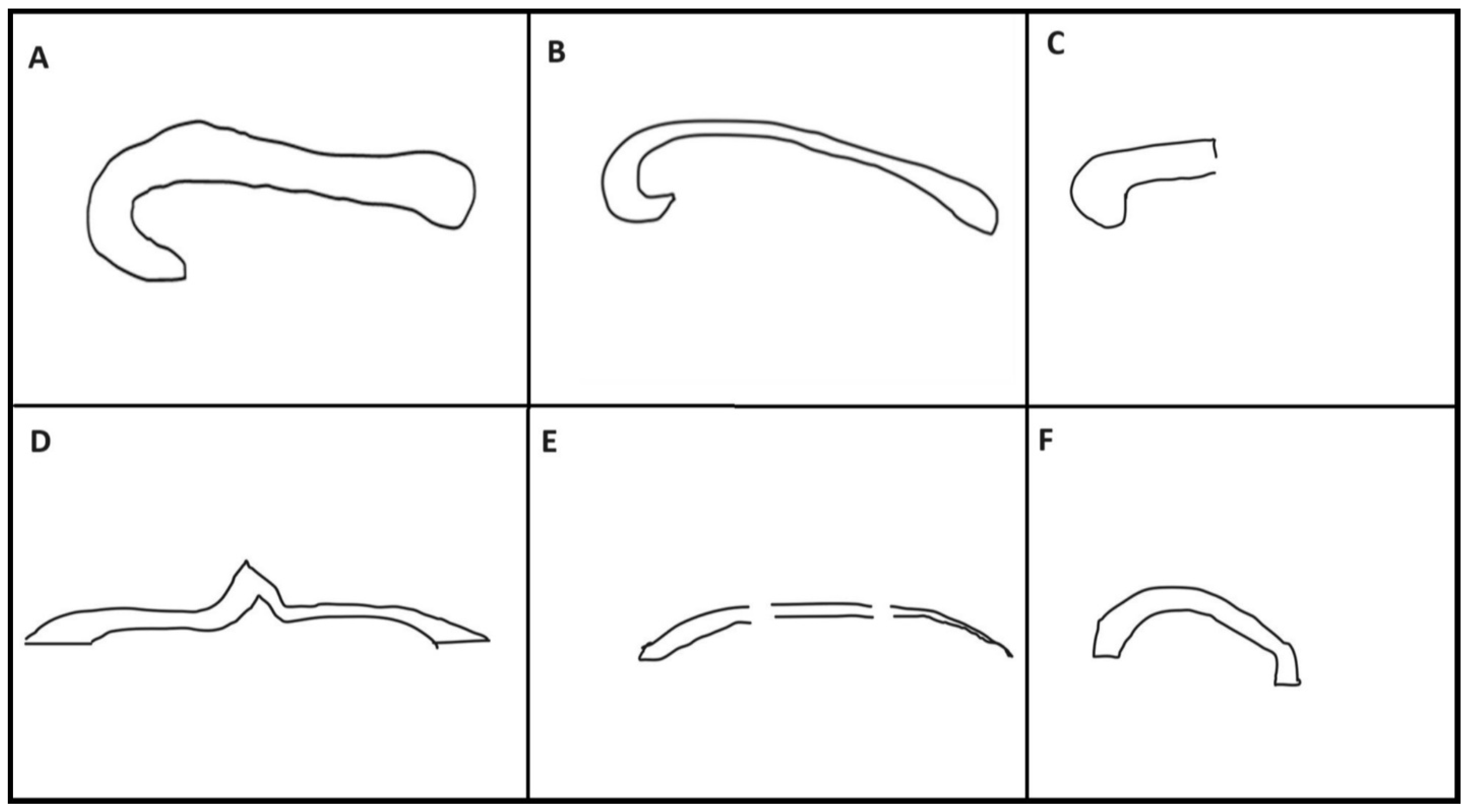 Diagnostics 14 00430 g001 Diagnostics 14 00430 g001