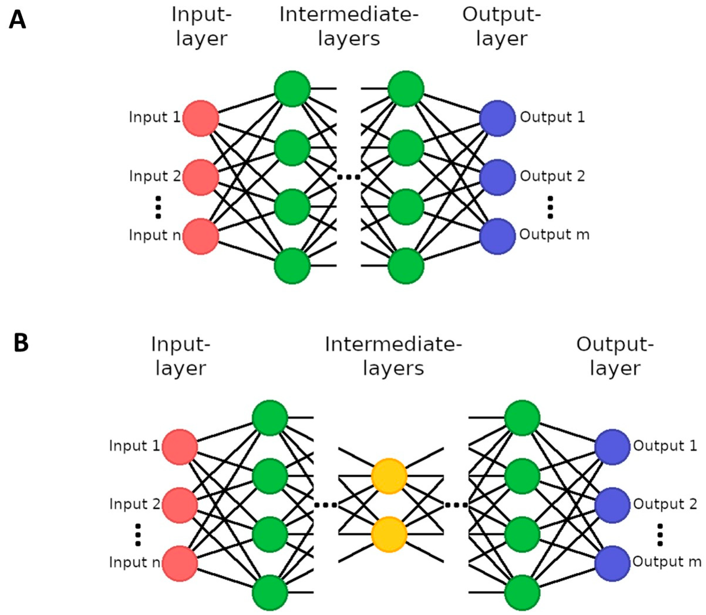 Diagnostics 14 00431 g004