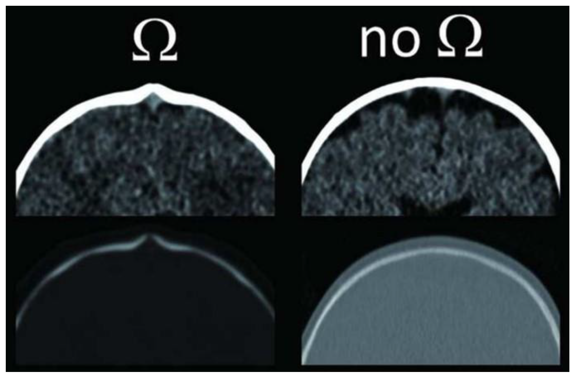 Diagnostics 14 00435 g005