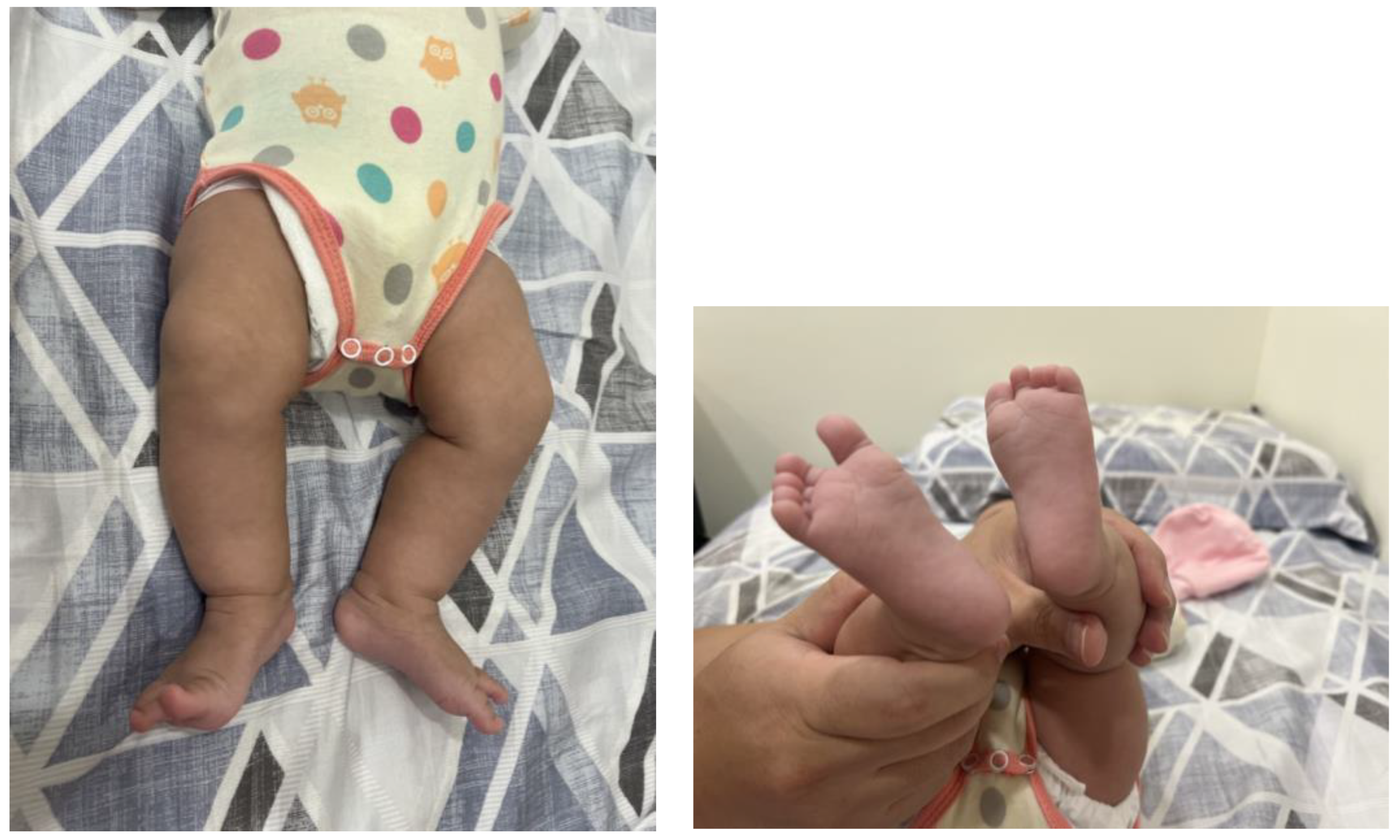 Diagnostics 14 00444 g002