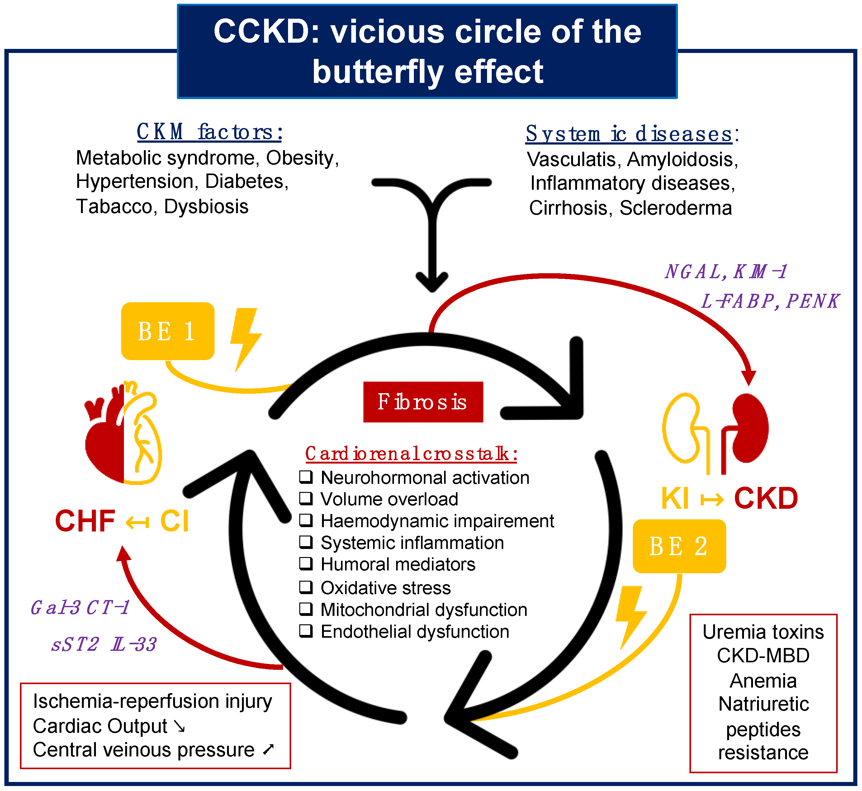 Diagnostics 14 00463 g005