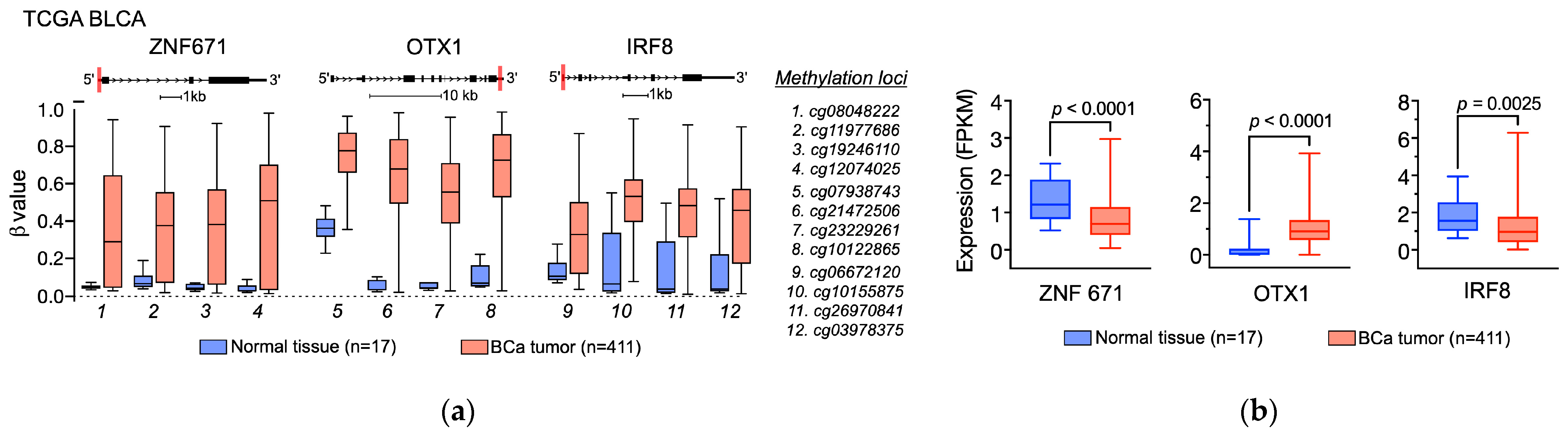 Diagnostics 14 00468 g002