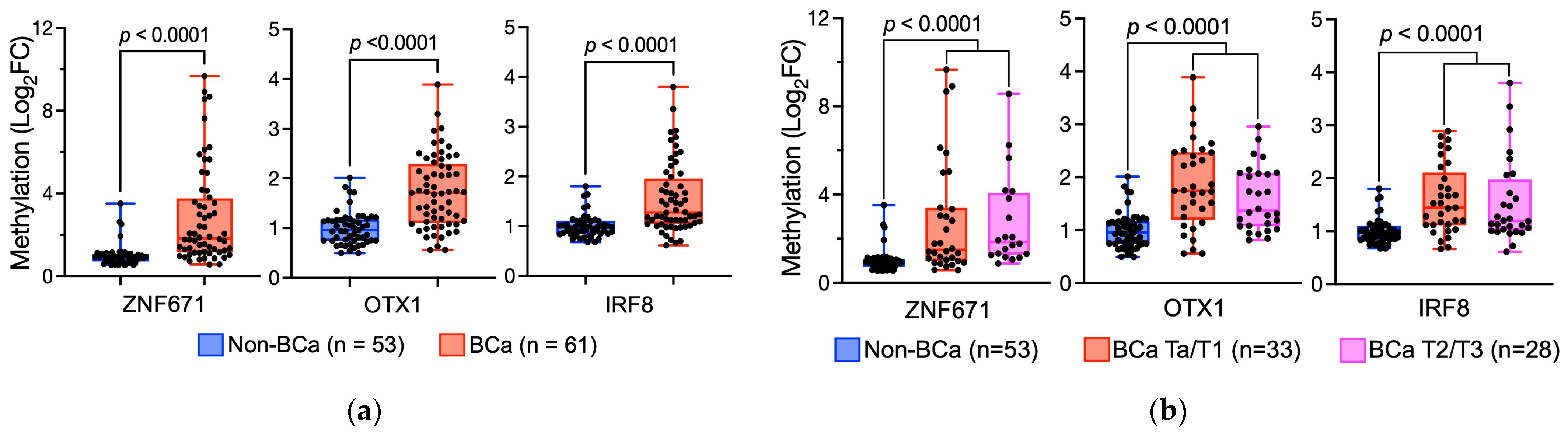 Diagnostics 14 00468 g003