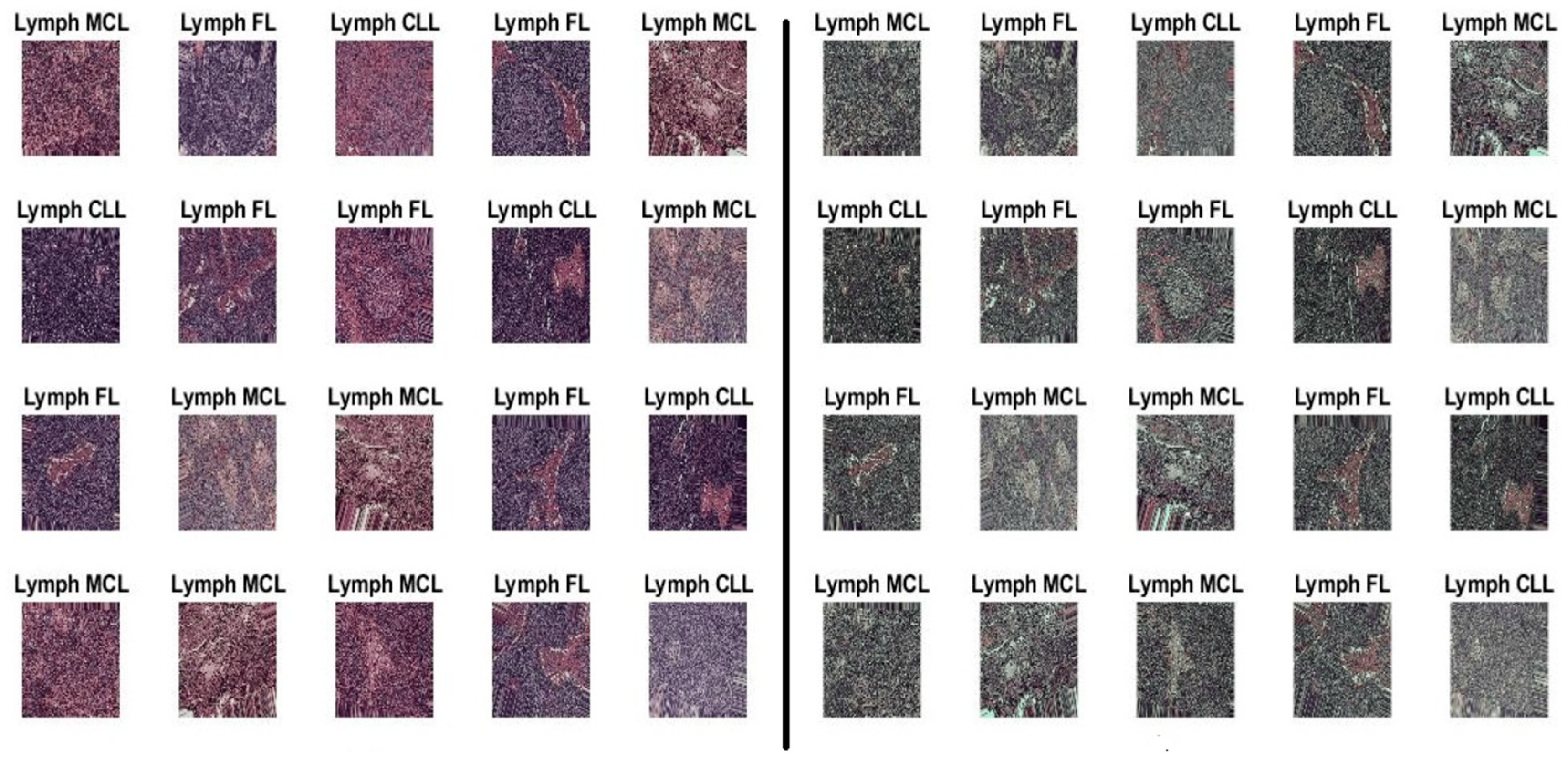 Diagnostics 14 00469 g002