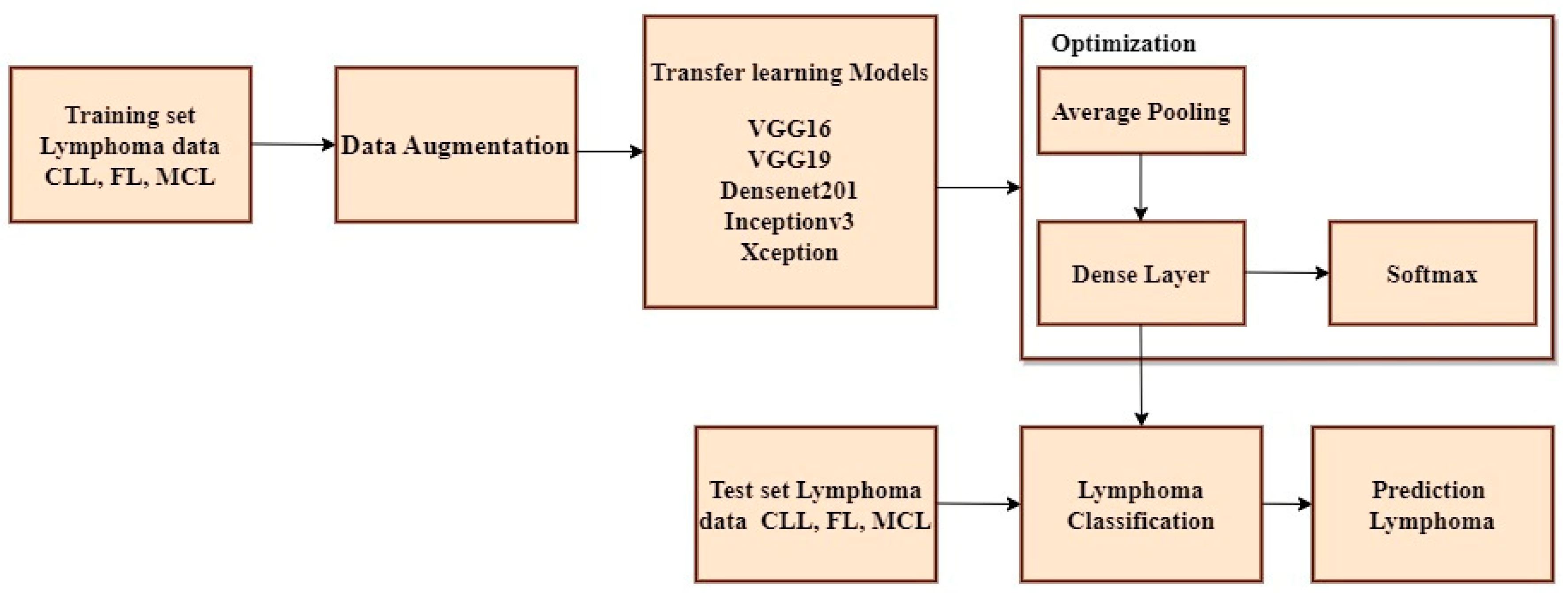 Diagnostics 14 00469 g003