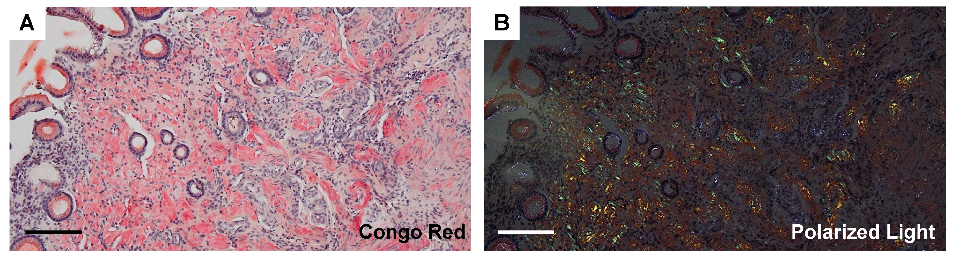 Diagnostics 14 00476 g004 Diagnostics 14 00476 g004