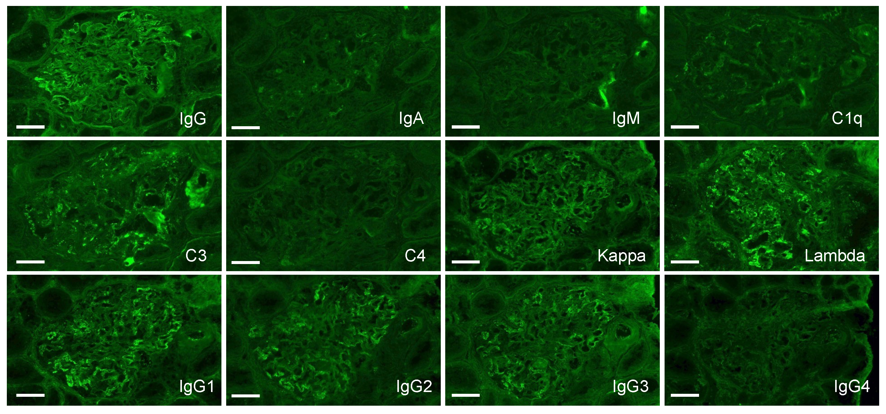 Diagnostics 14 00476 g006 Diagnostics 14 00476 g006