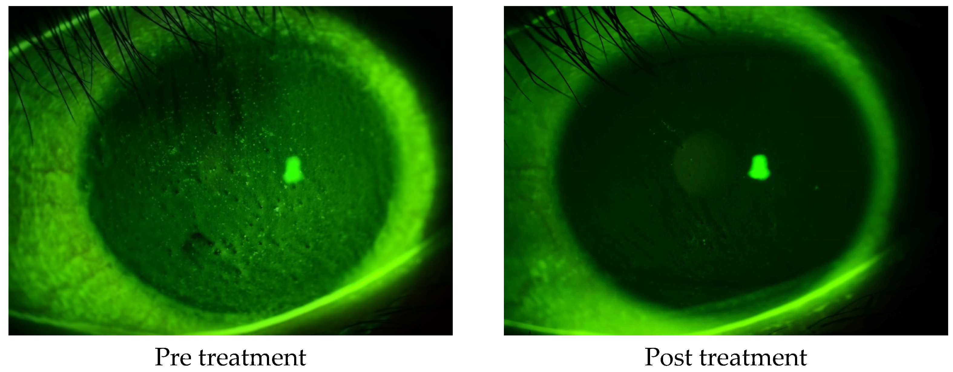 Diagnostics 14 00487 g003