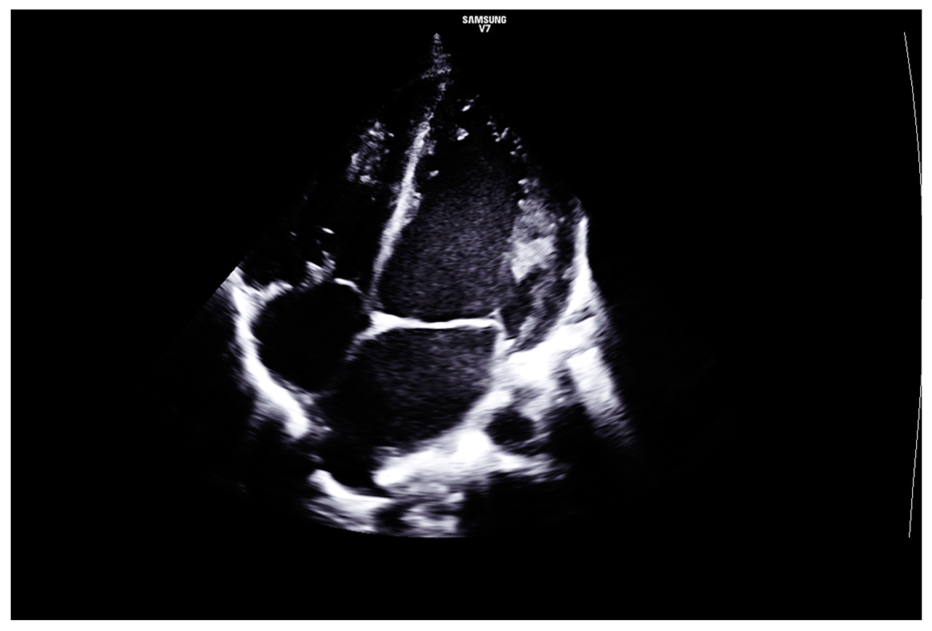 Diagnostics 14 00491 g003