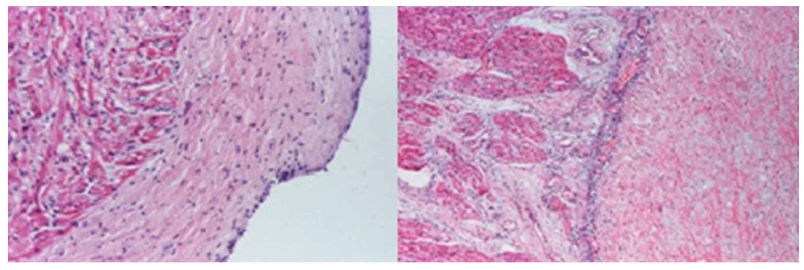 Diagnostics 14 00491 g007