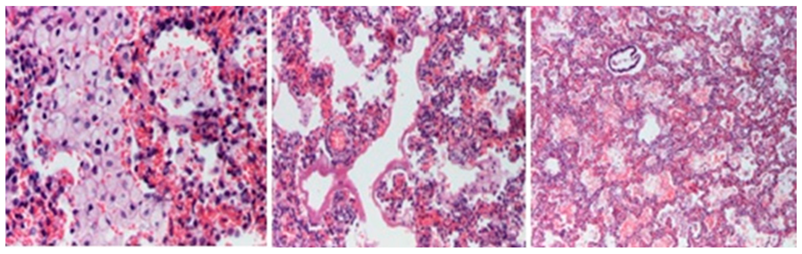 Diagnostics 14 00491 g008