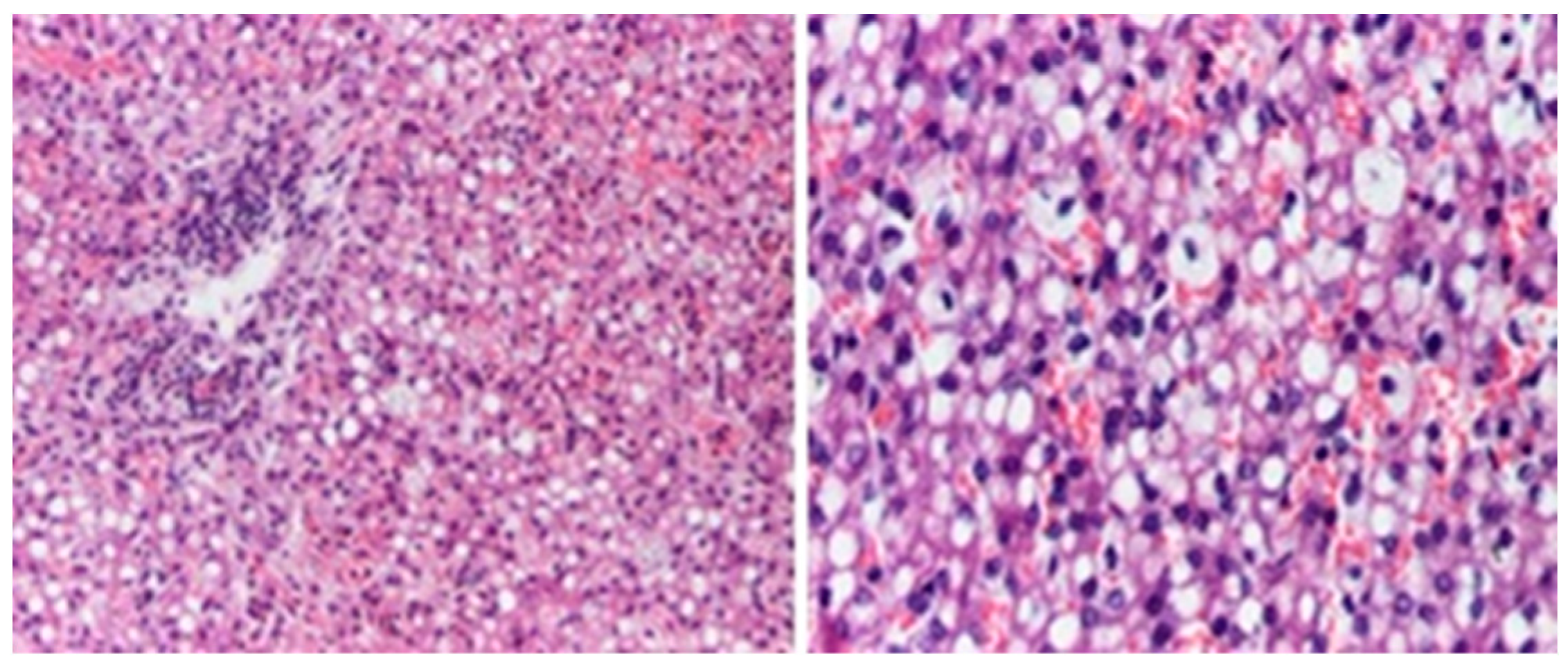 Diagnostics 14 00491 g009