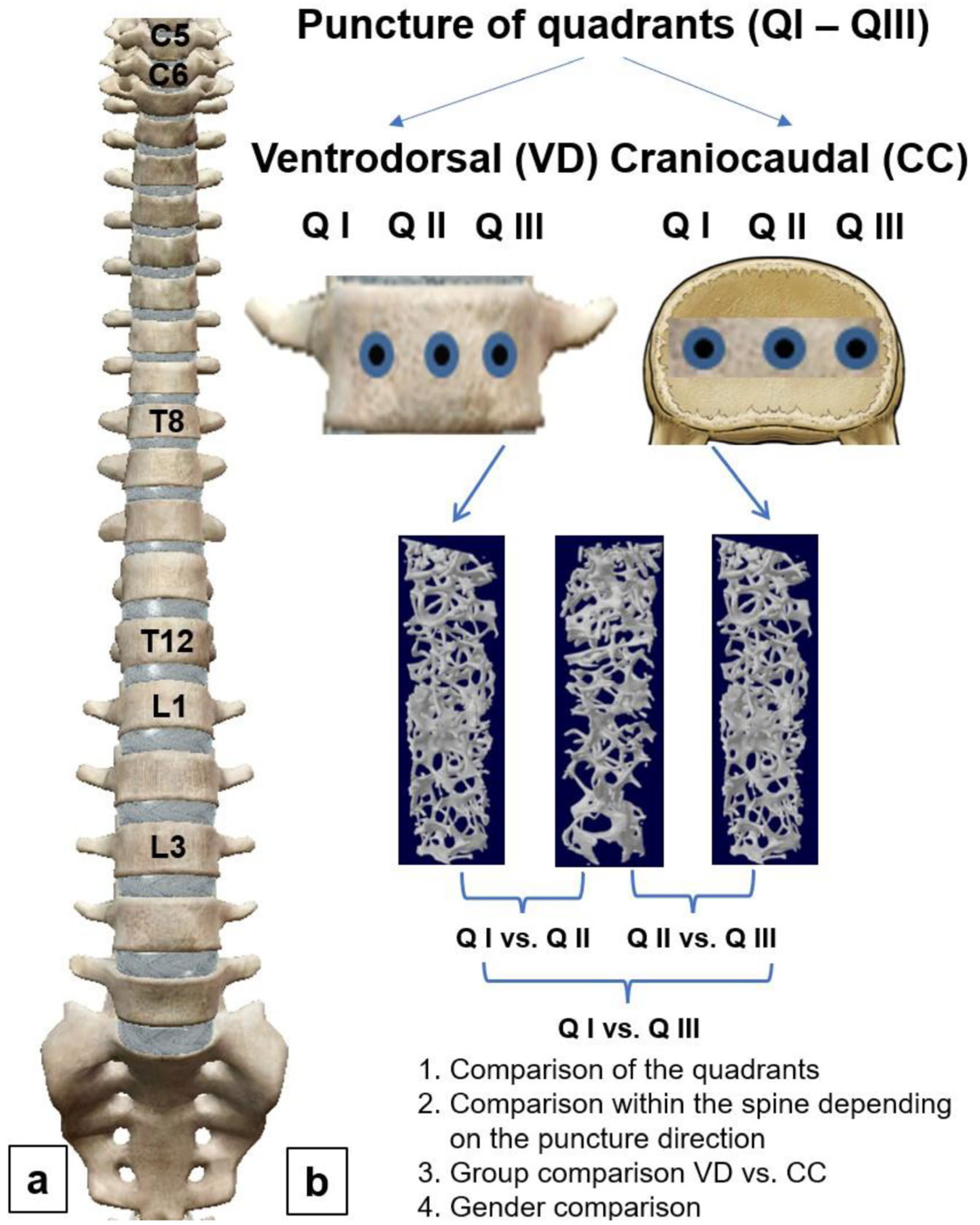 Diagnostics 14 00498 g002 Diagnostics 14 00498 g002