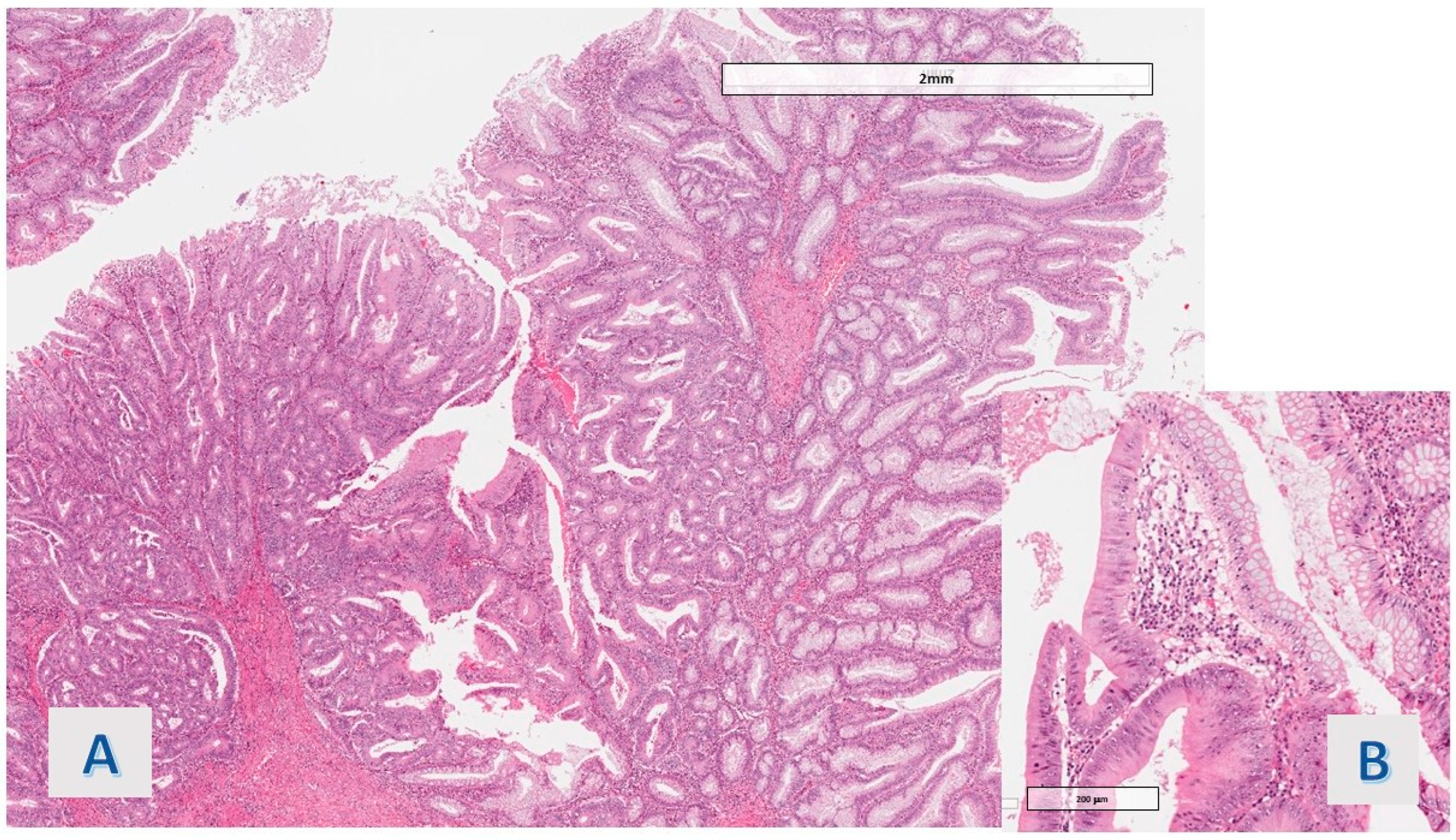 Diagnostics 14 00499 g002