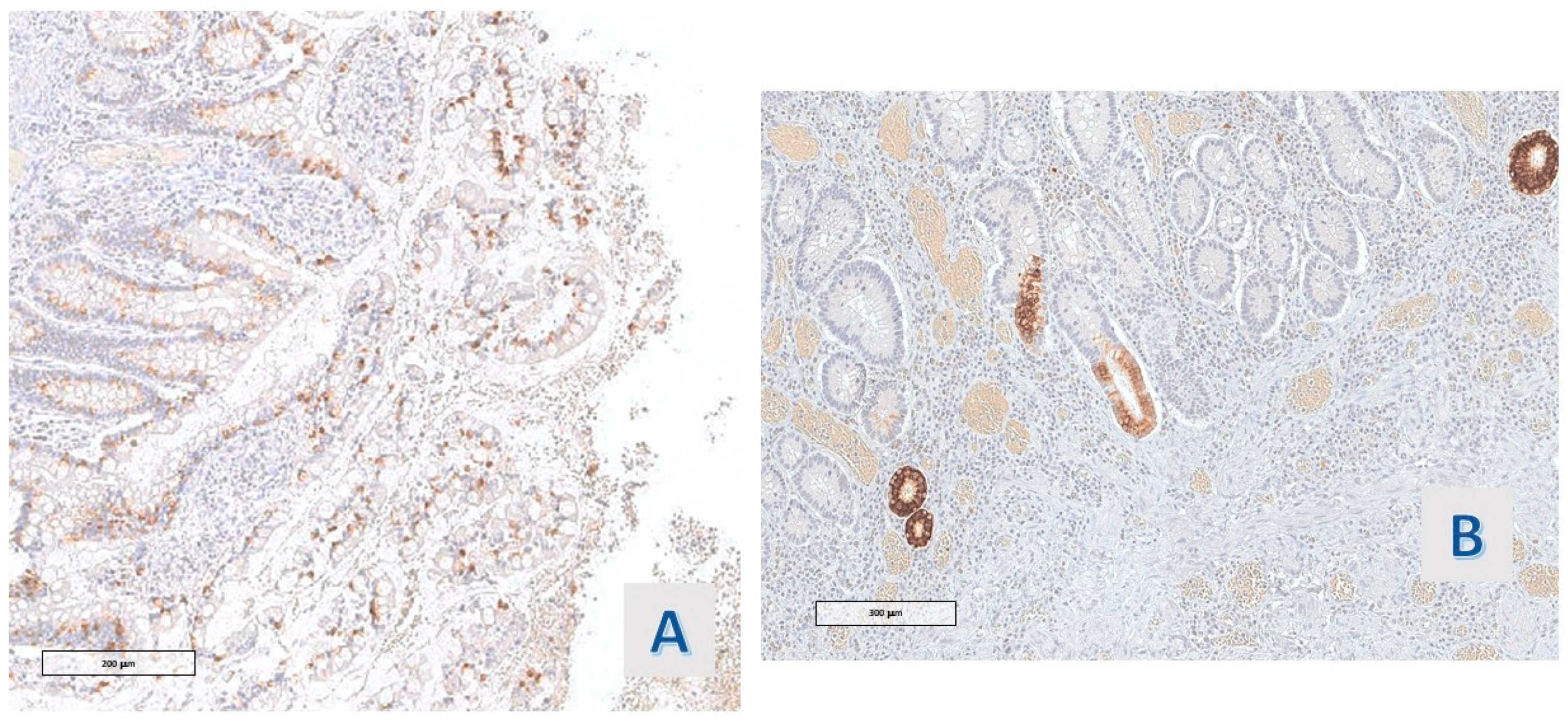 Diagnostics 14 00499 g007