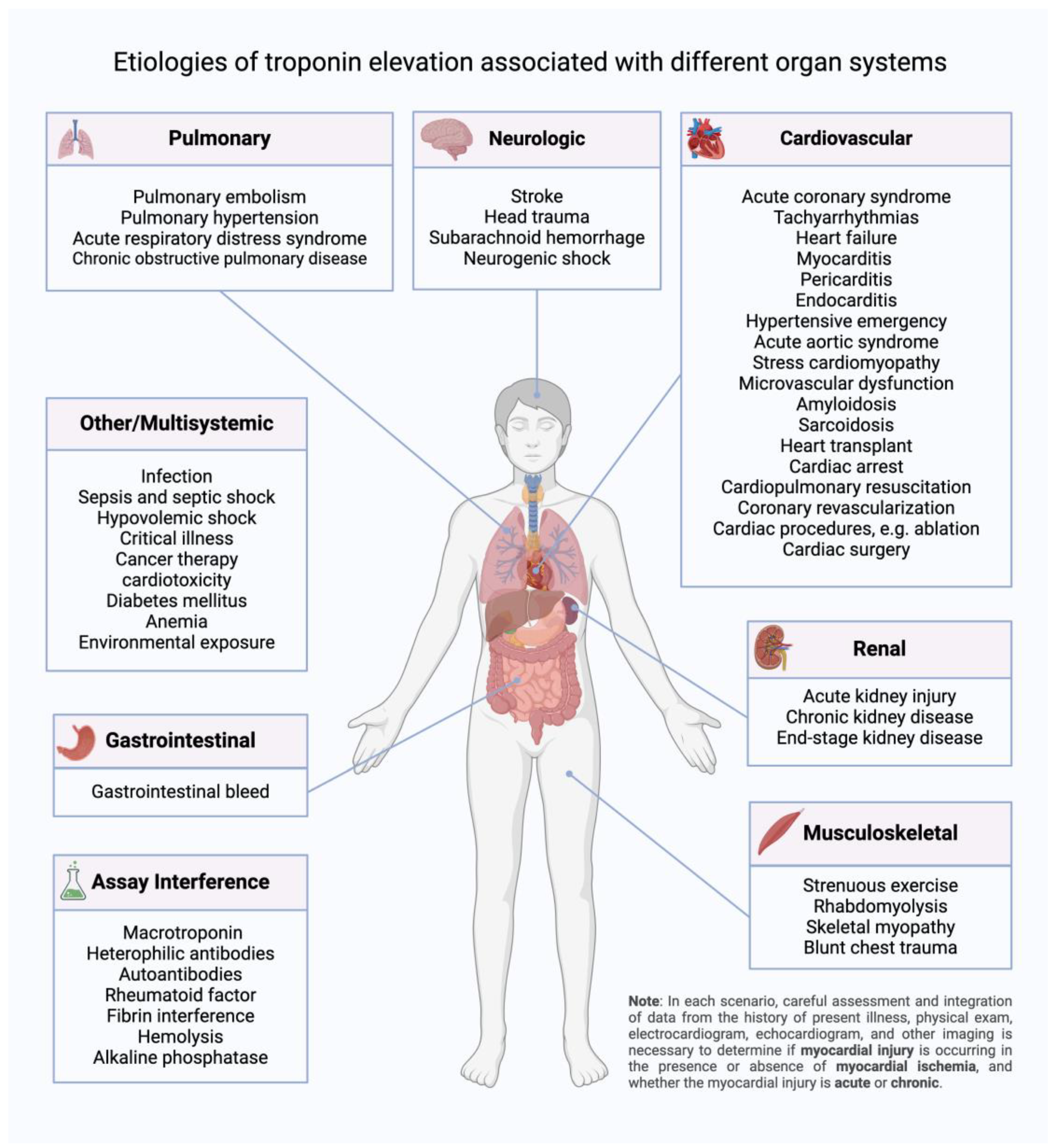 Diagnostics 14 00503 g004 Diagnostics 14 00503 g004