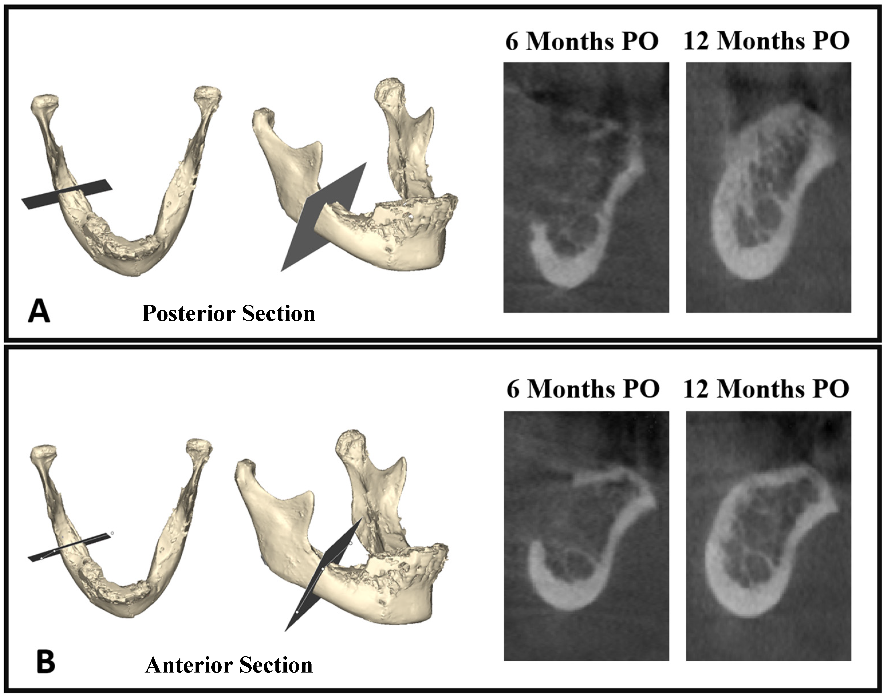 Diagnostics 14 00504 g005