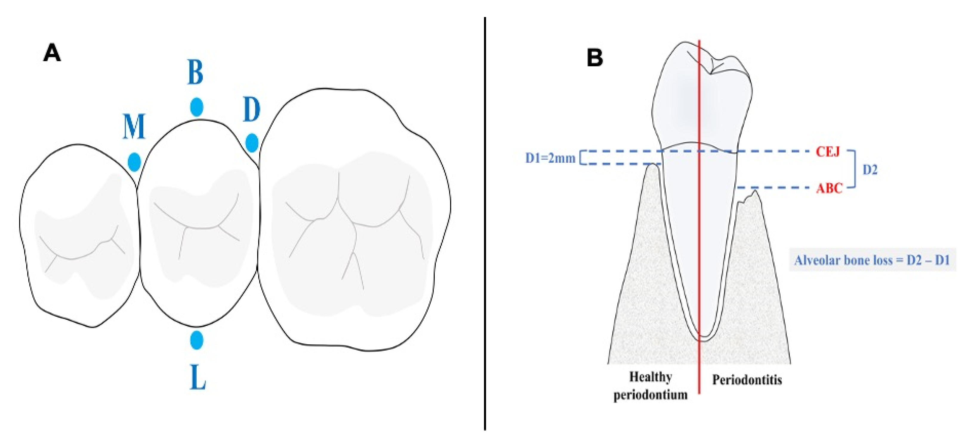 Diagnostics 14 00507 g002