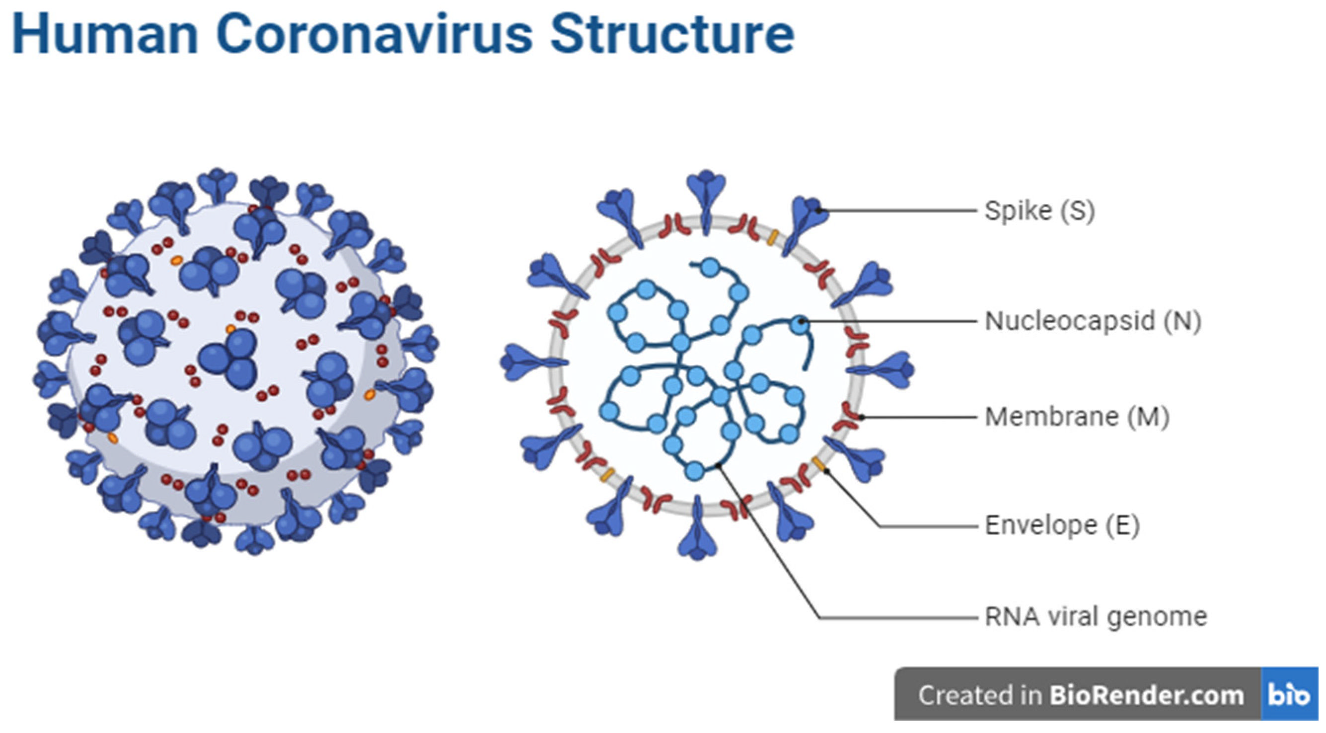 Diagnostics 14 00519 g001