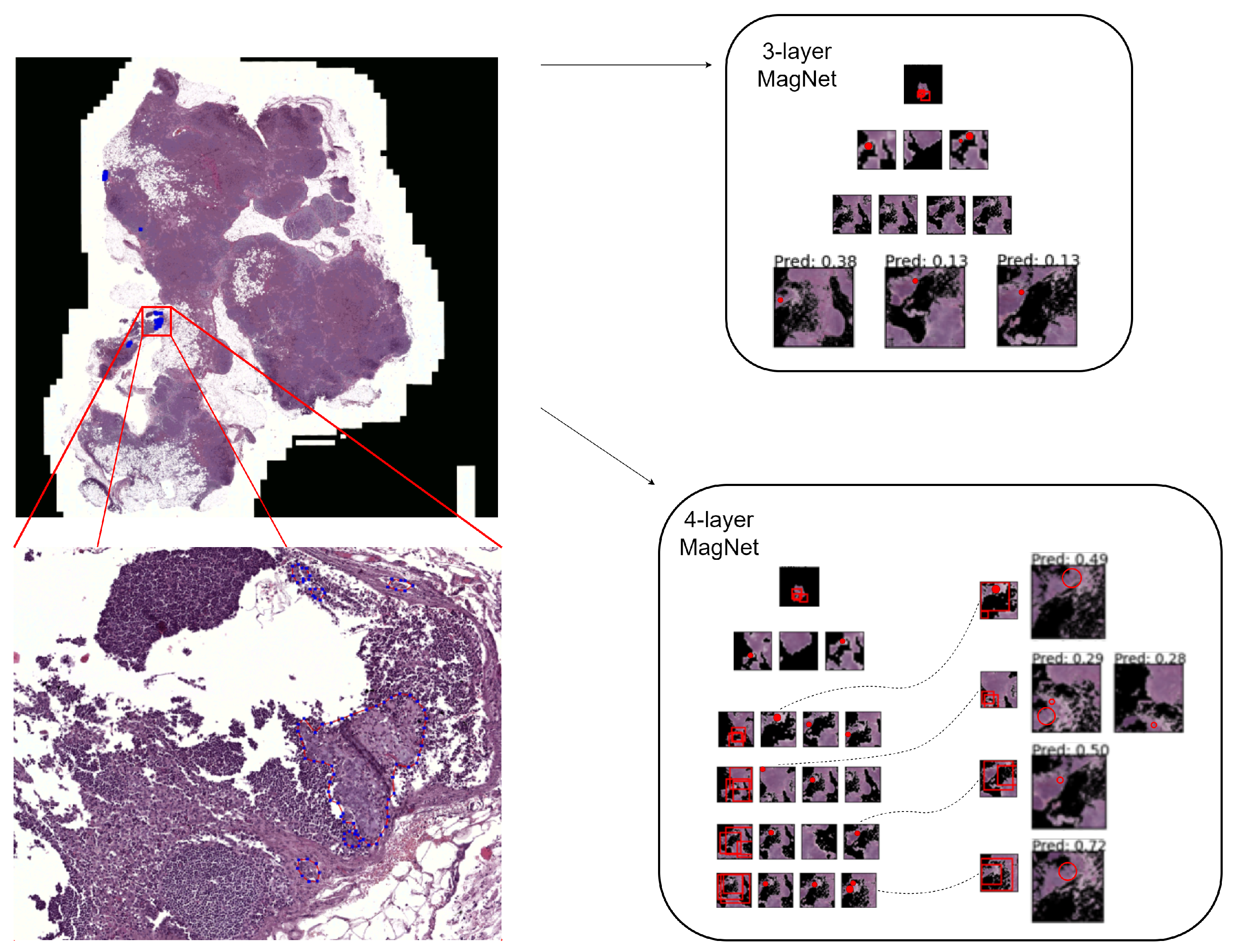 Diagnostics 14 00524 g006
