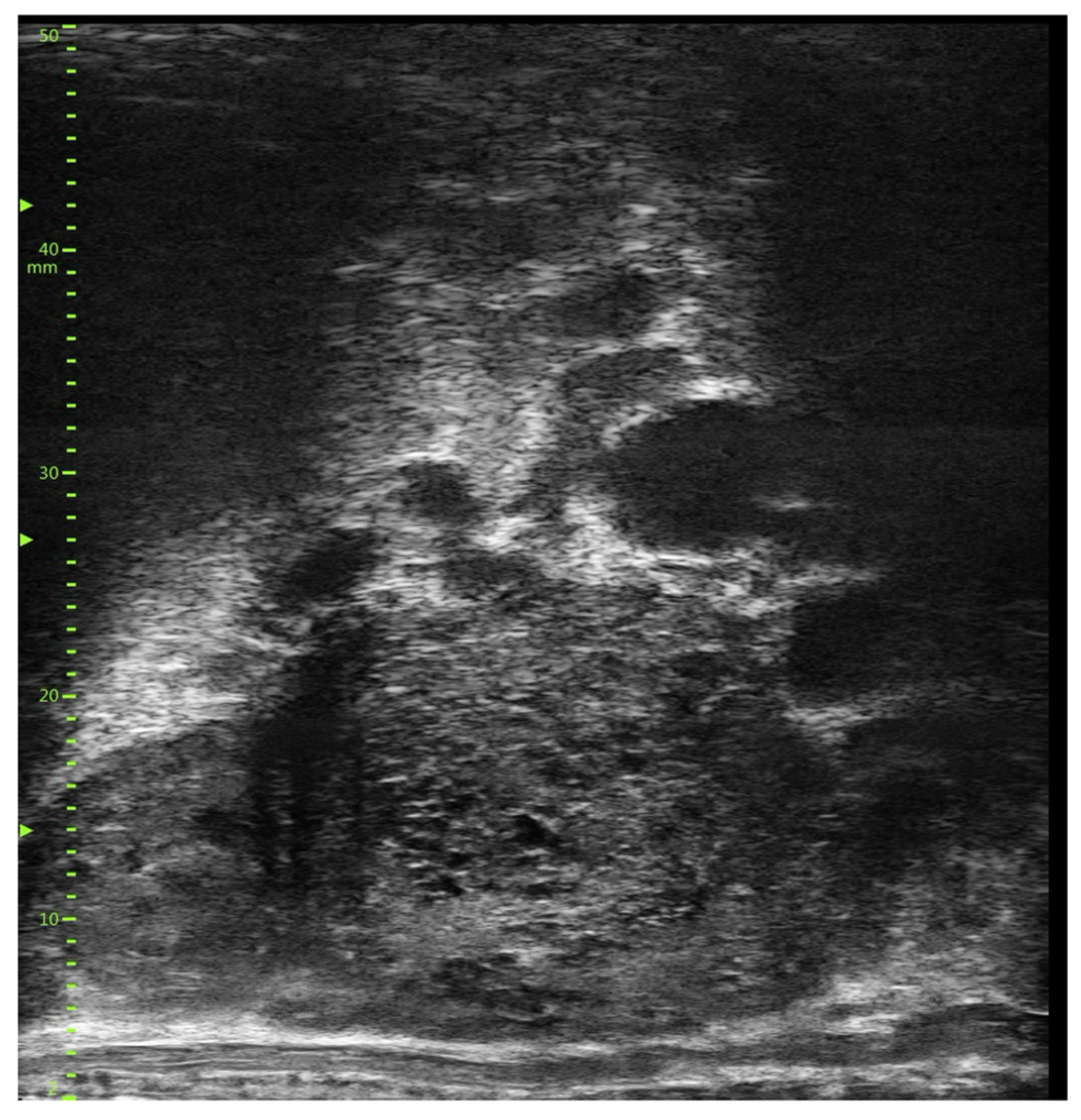 Diagnostics 14 00525 g001 Diagnostics 14 00525 g001