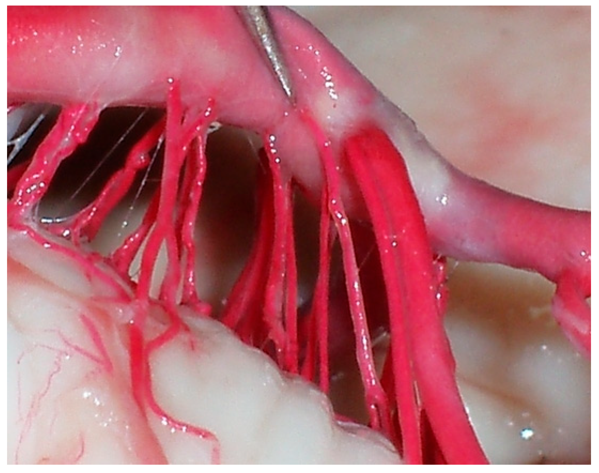 Diagnostics 14 00534 g008