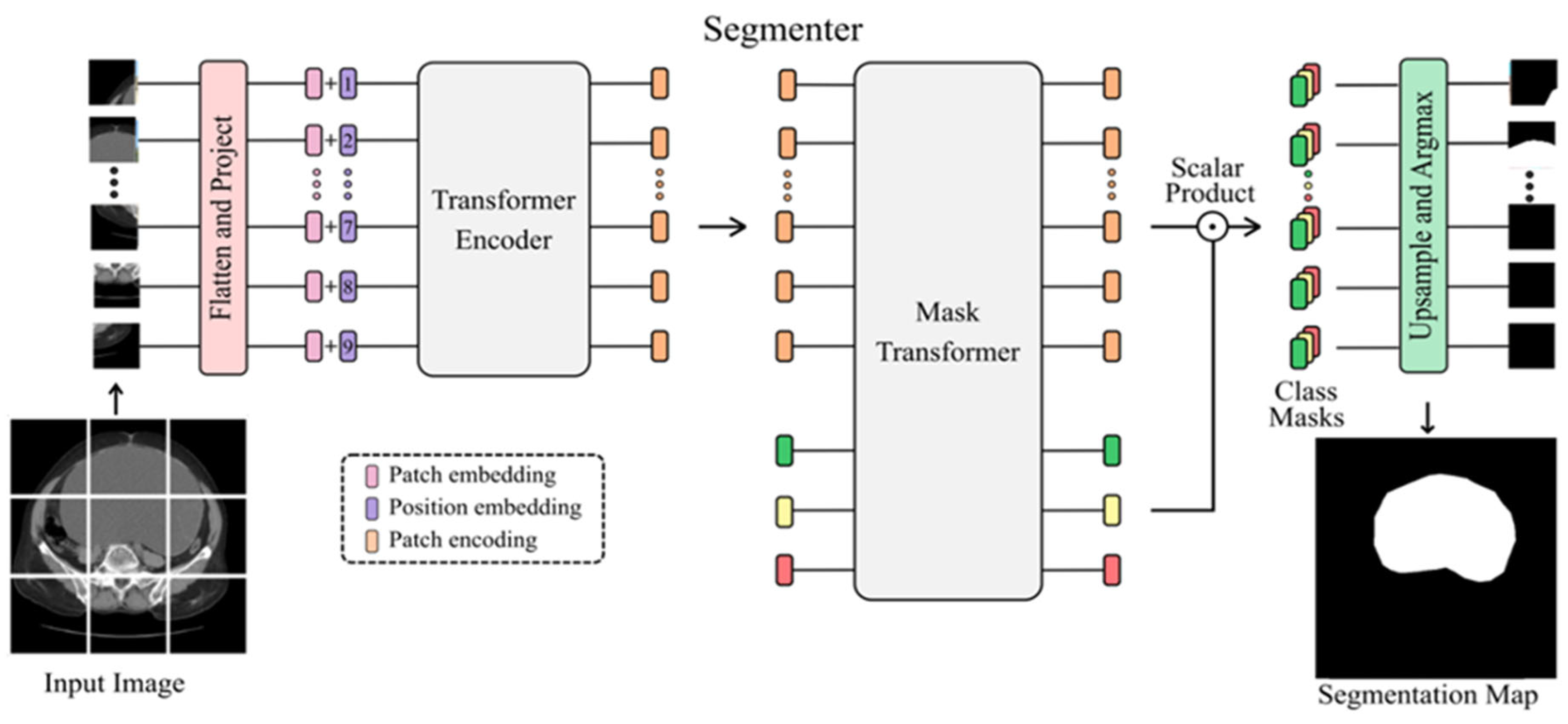 Diagnostics 14 00543 g001