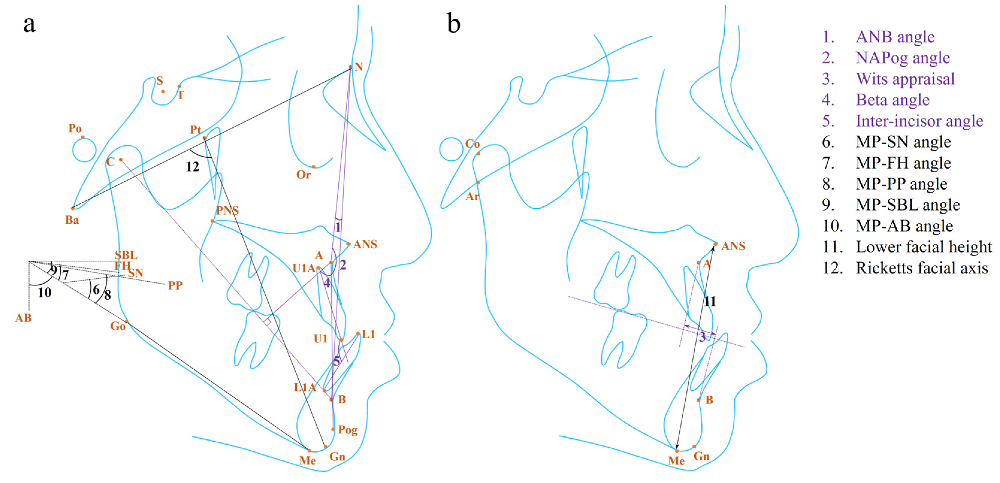 Diagnostics 14 00544 g001 Diagnostics 14 00544 g001