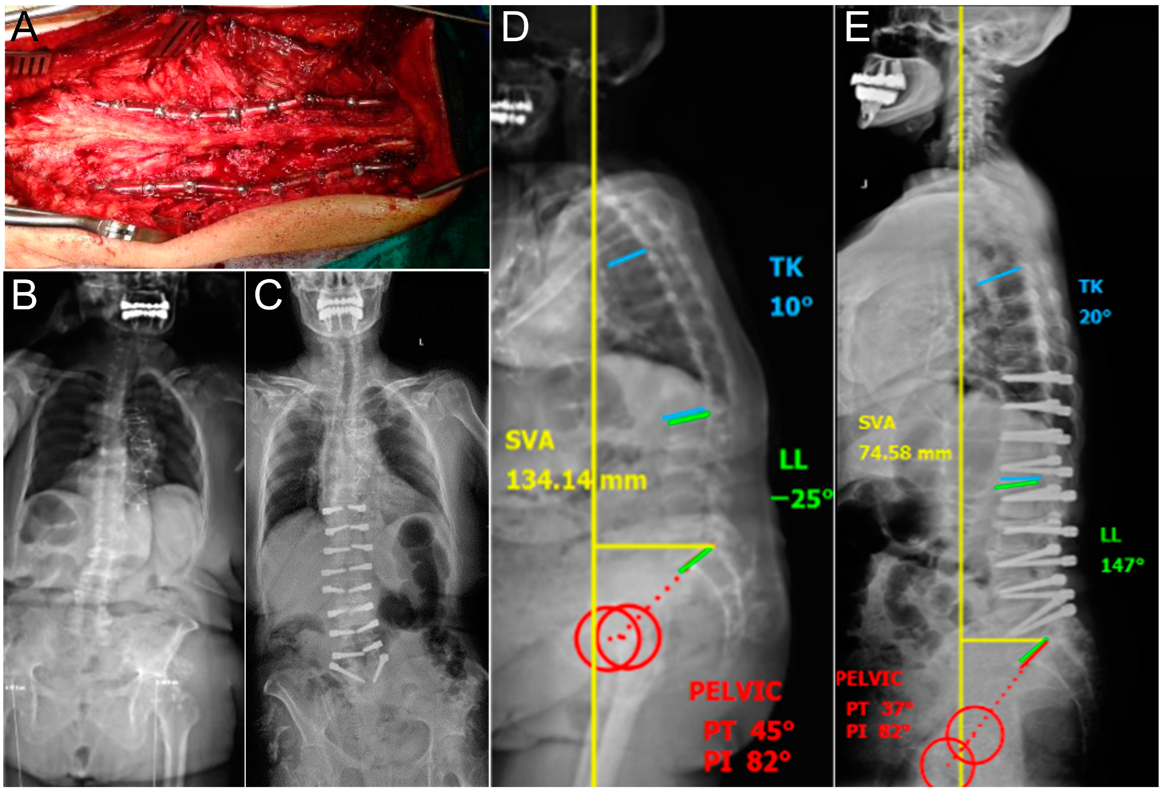 Diagnostics 14 00549 g001