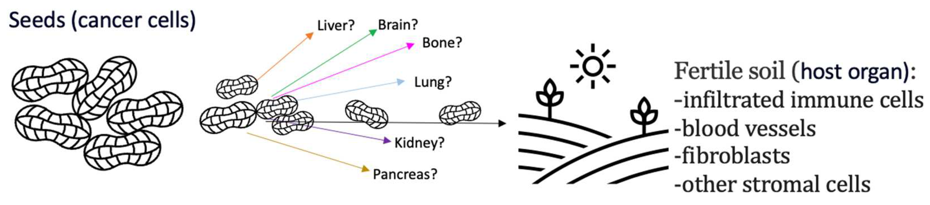 Diagnostics 14 00553 g001 Diagnostics 14 00553 g001