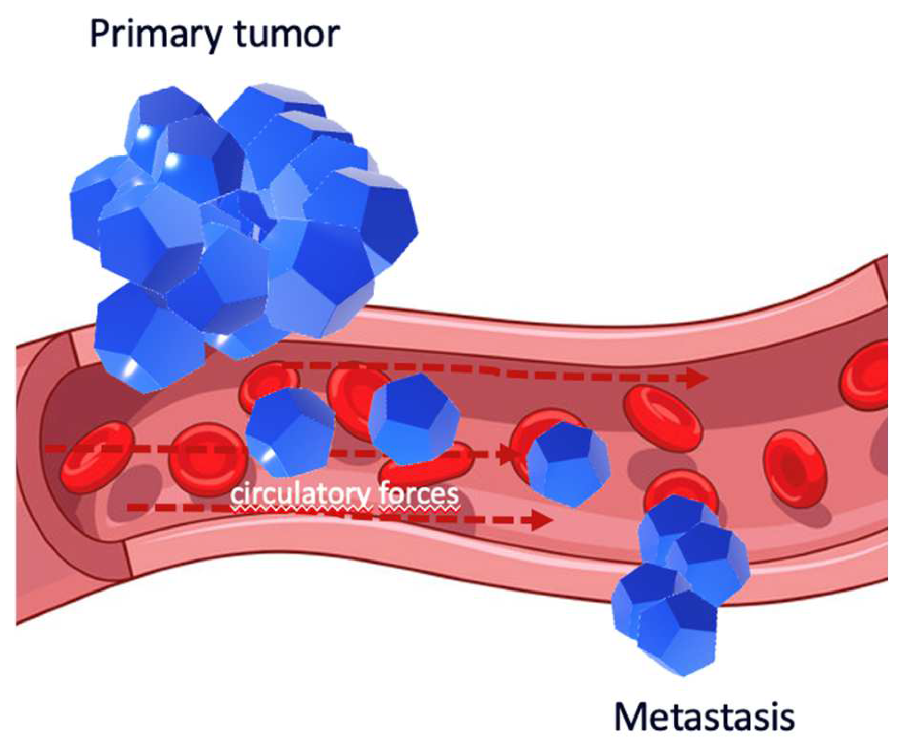 Diagnostics 14 00553 g002 Diagnostics 14 00553 g002