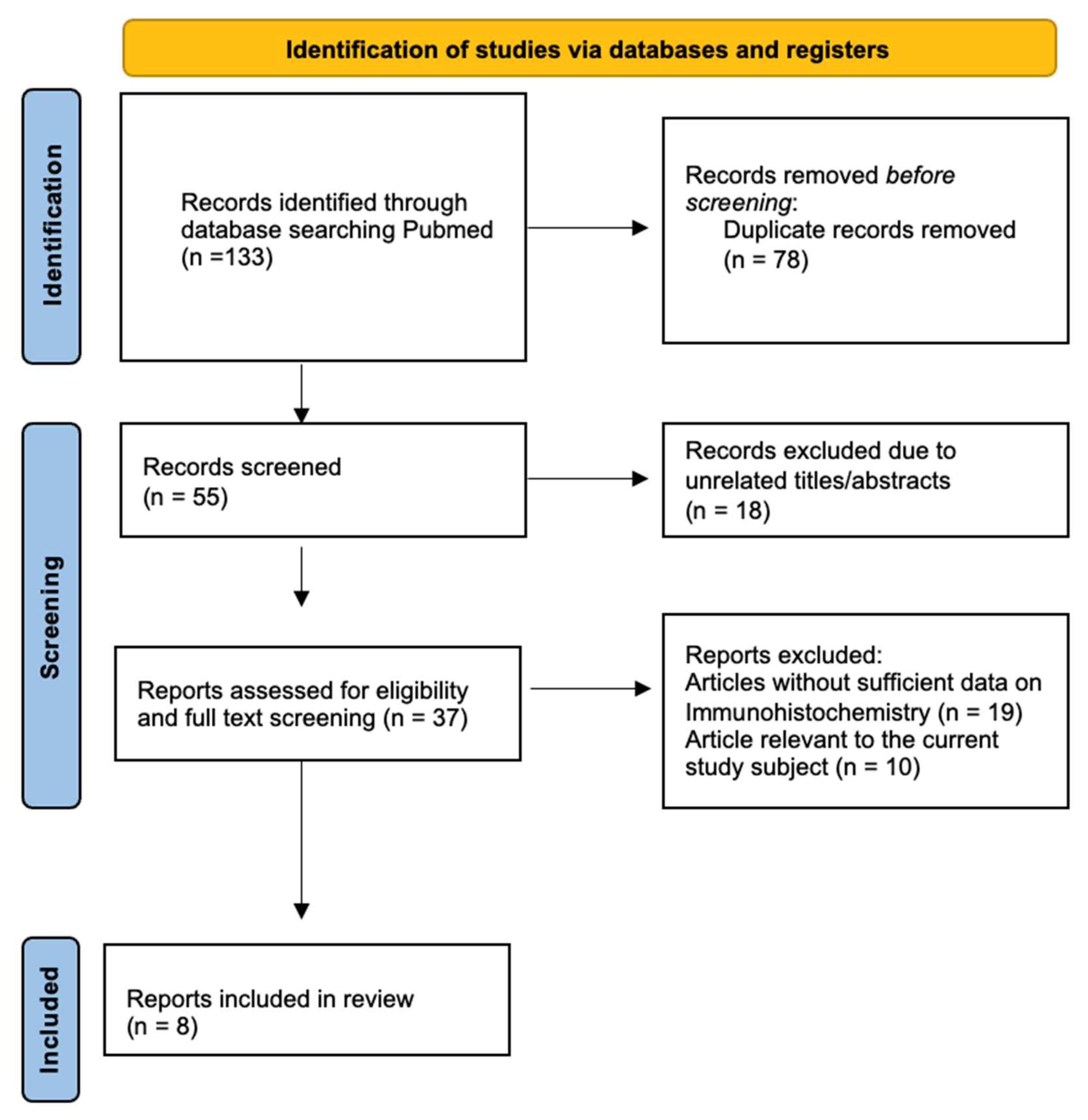 Diagnostics 14 00553 g003 Diagnostics 14 00553 g003