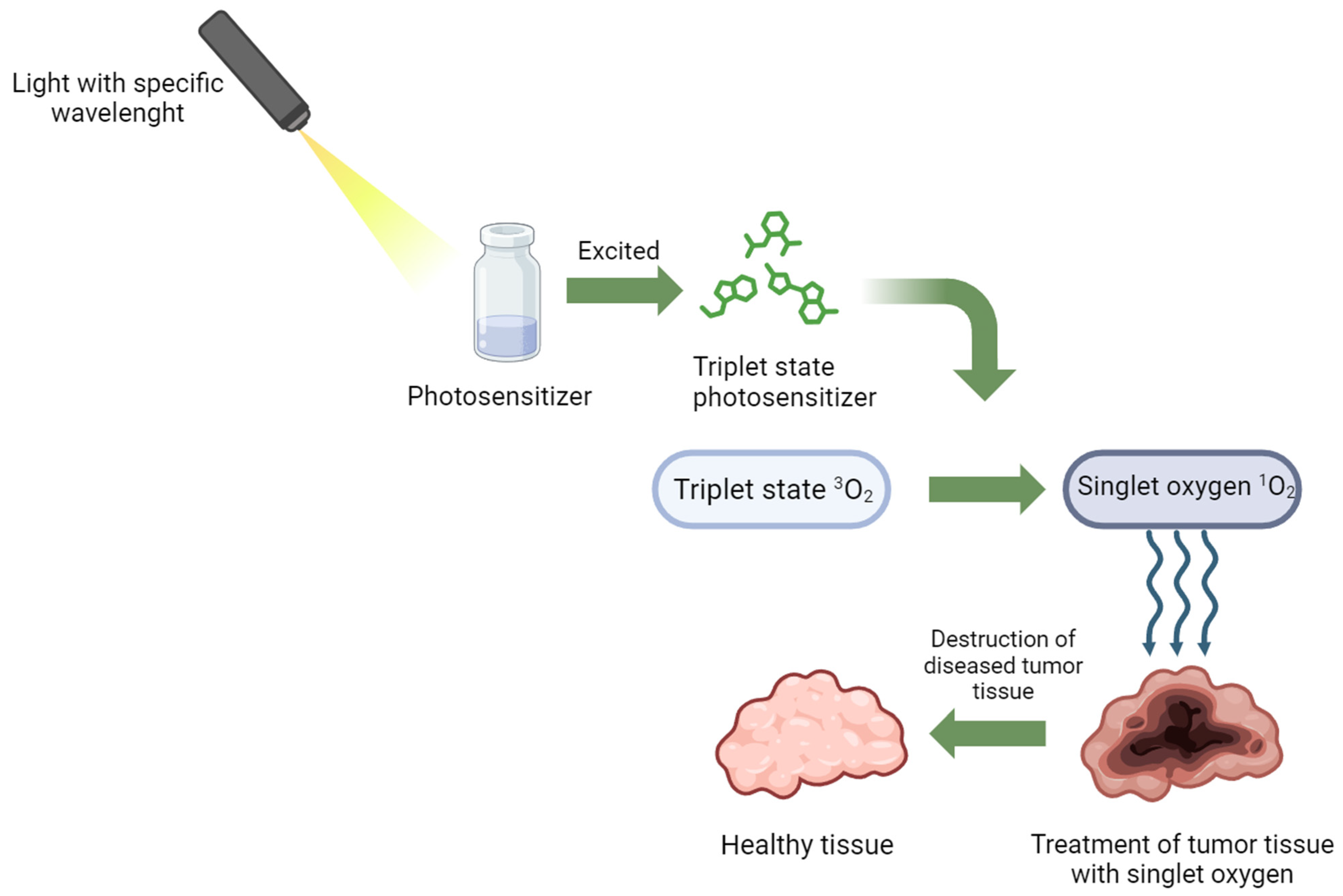 Diagnostics 14 00563 g001 Diagnostics 14 00563 g001