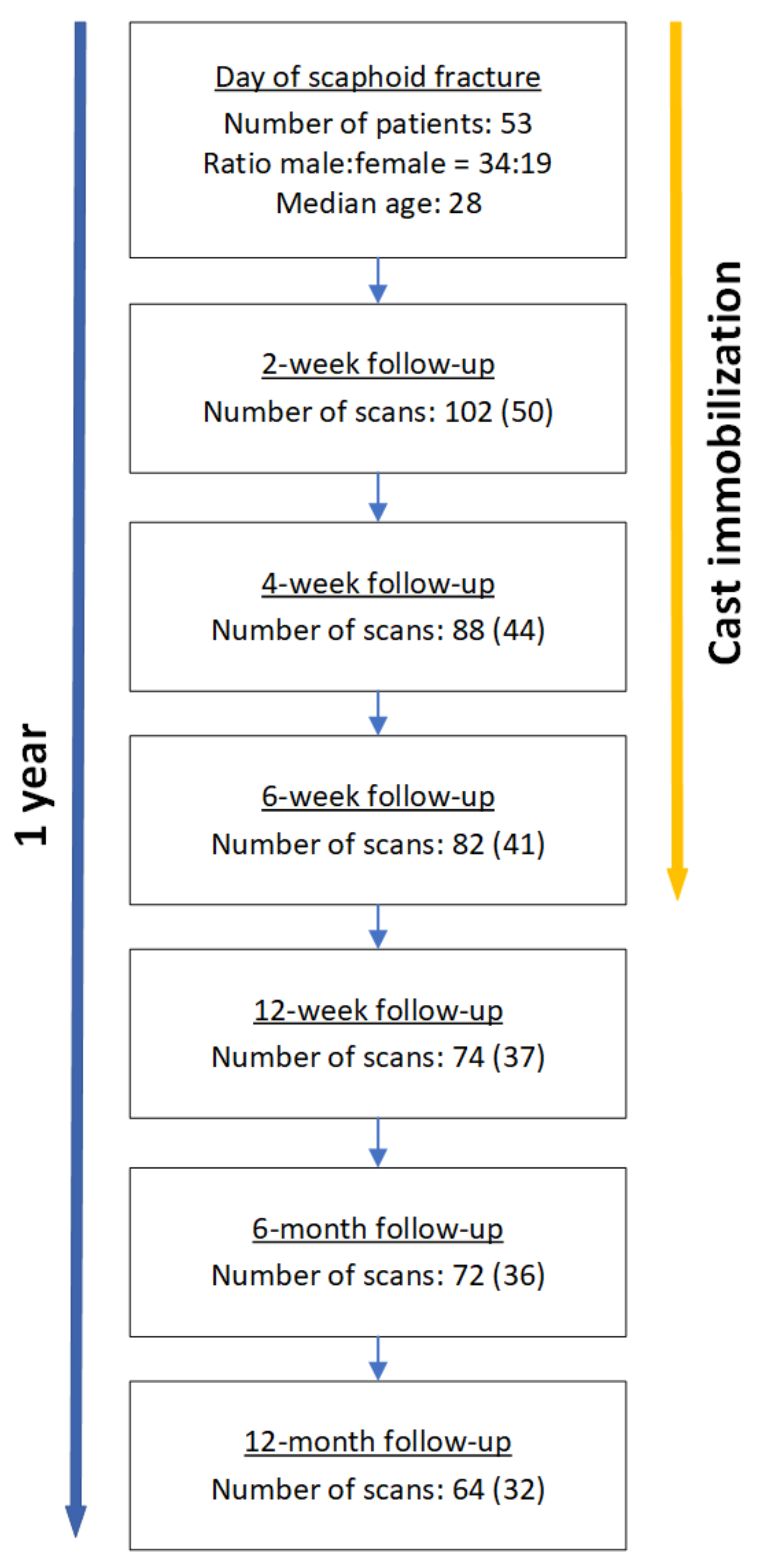 Diagnostics 14 00568 g001