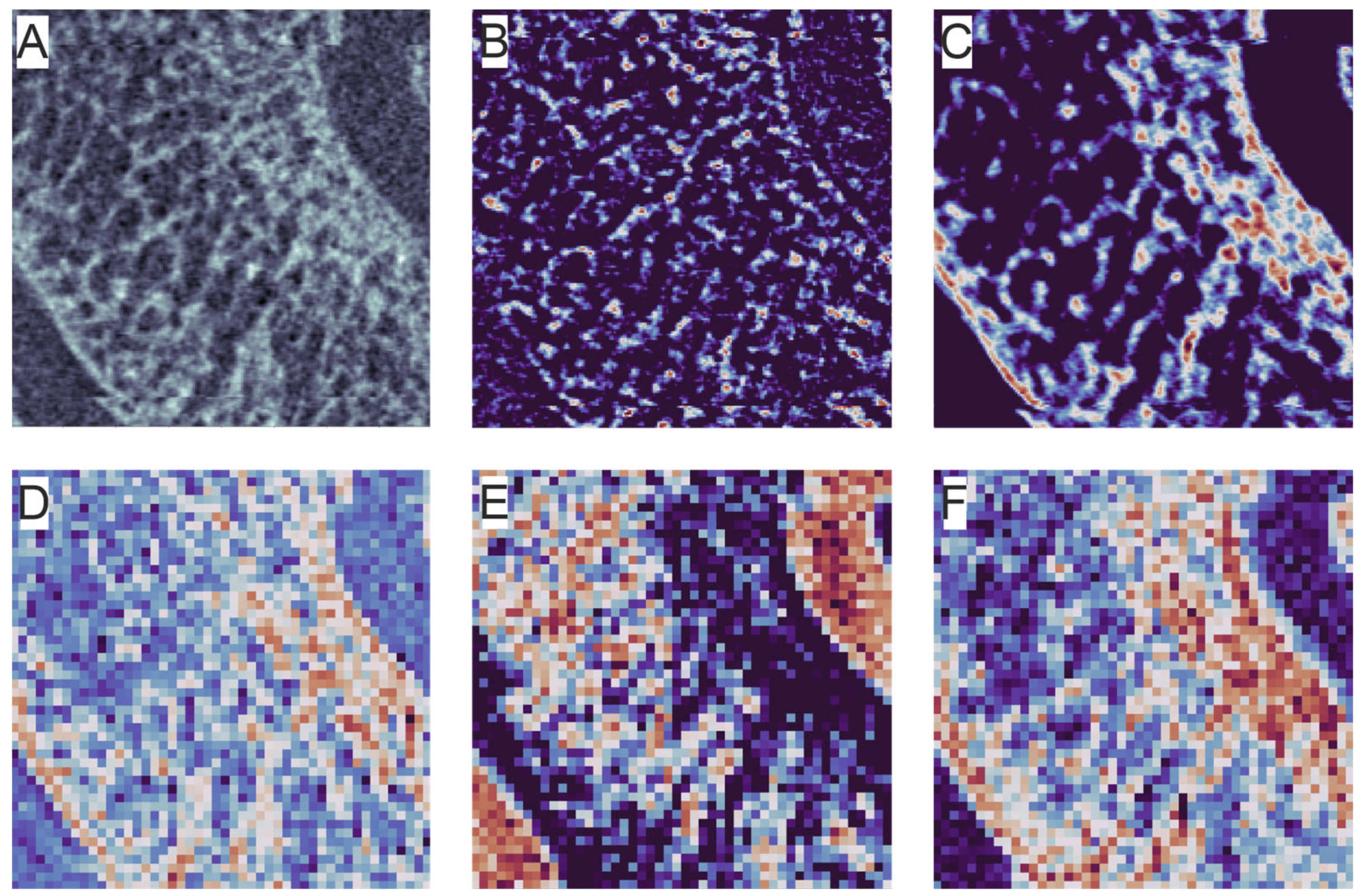 Diagnostics 14 00568 g007