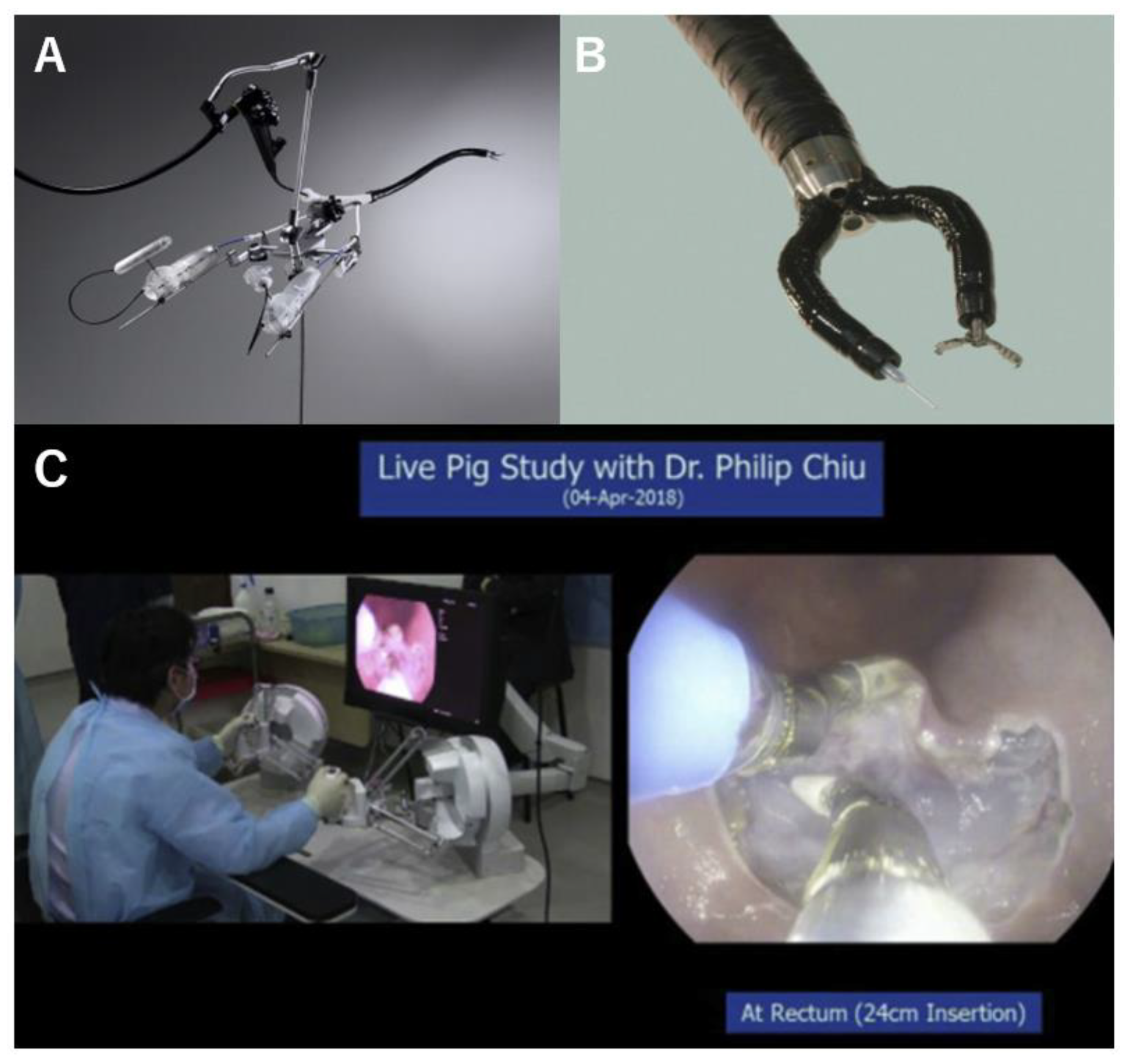 Diagnostics 14 00595 g001