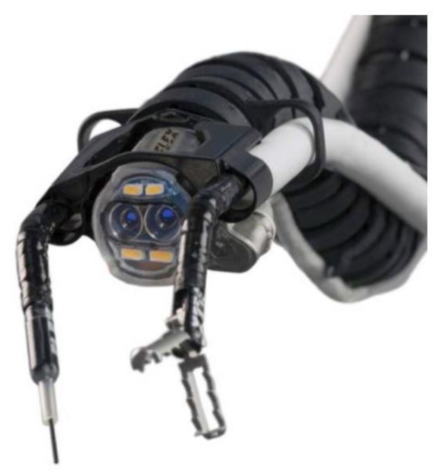 Diagnostics 14 00595 g003