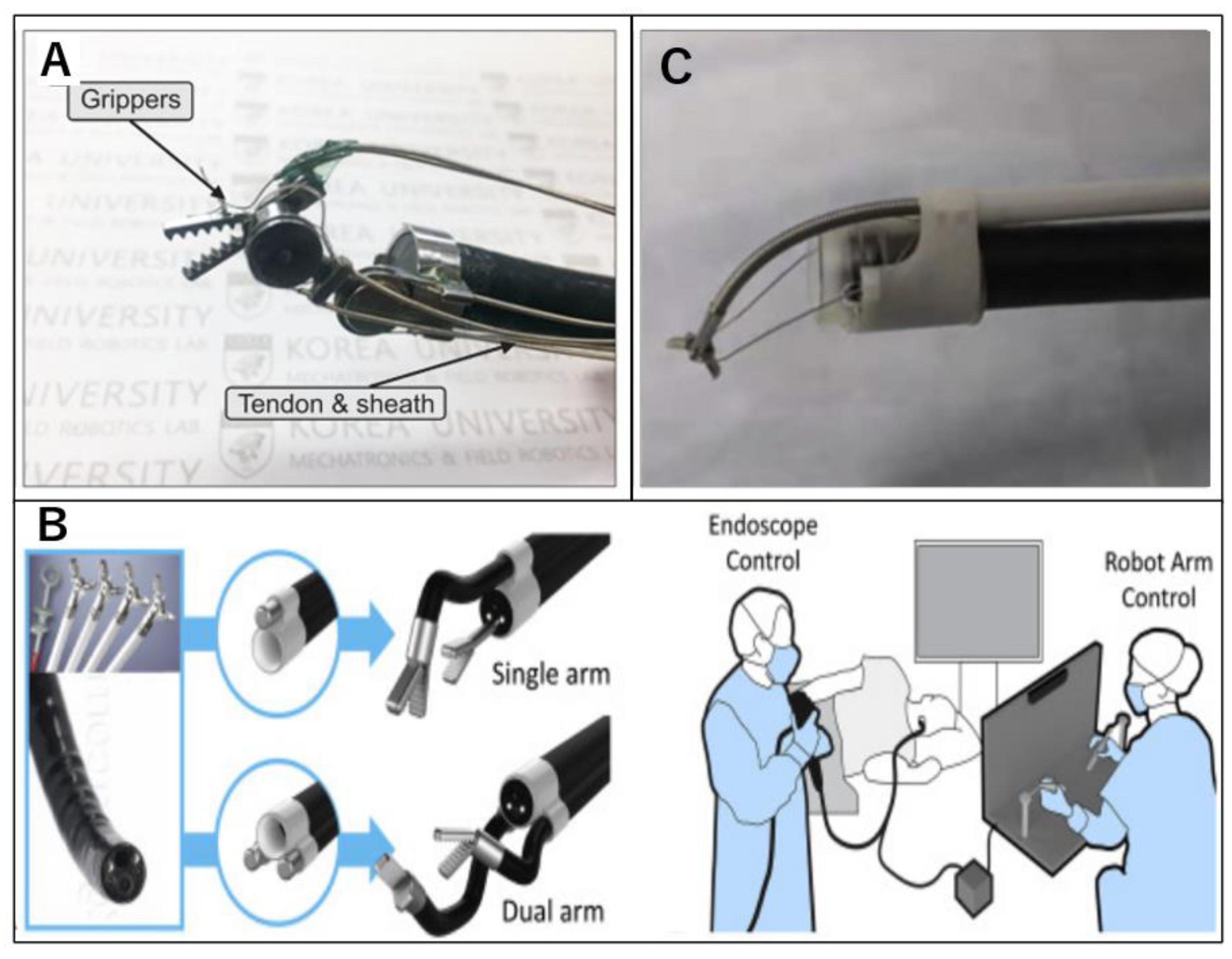 Diagnostics 14 00595 g004