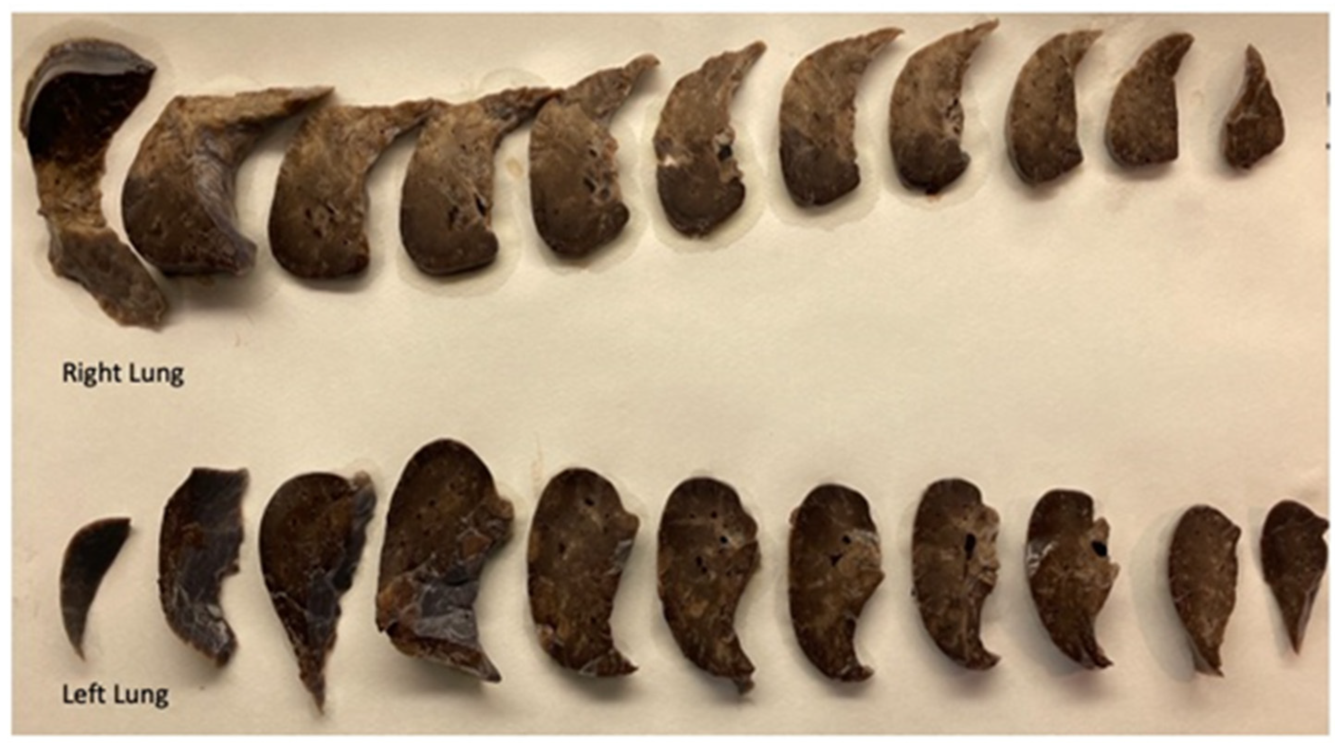 Diagnostics 14 00601 g003 Diagnostics 14 00601 g003