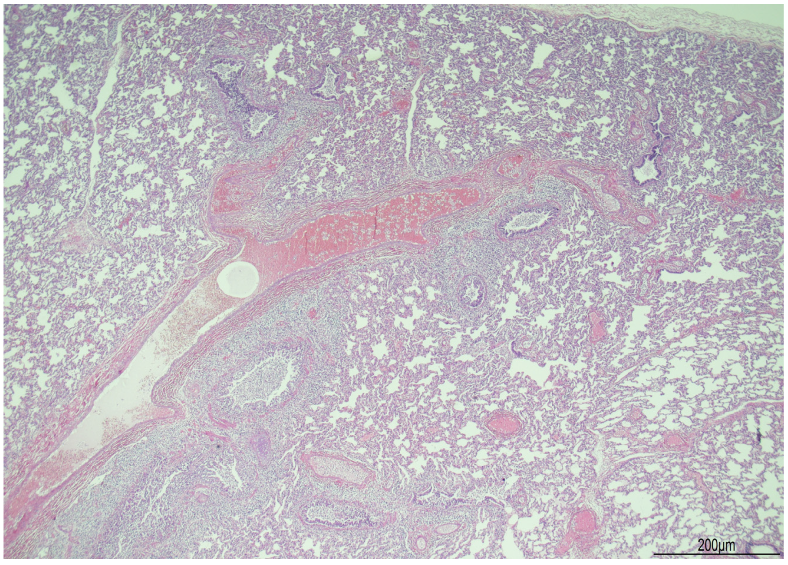 Diagnostics 14 00601 g006 Diagnostics 14 00601 g006