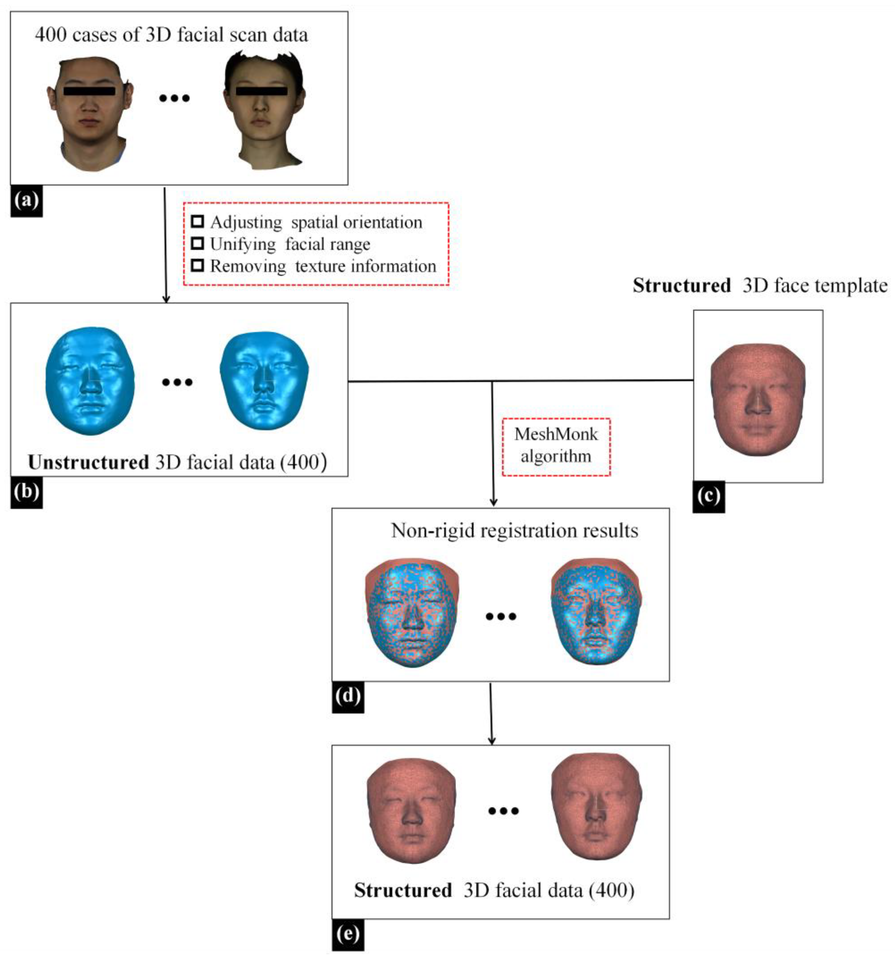 Diagnostics 14 00603 g002