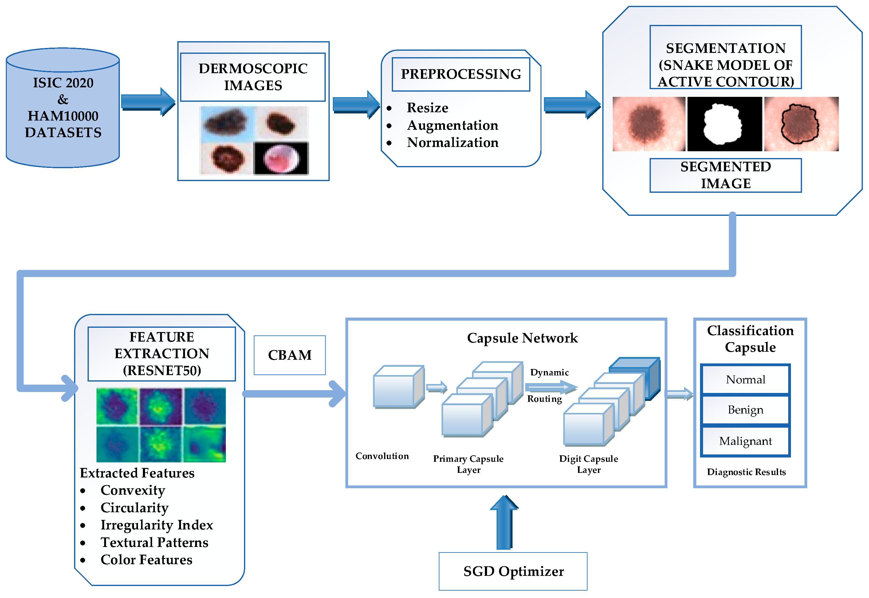 Diagnostics 14 00636 g001