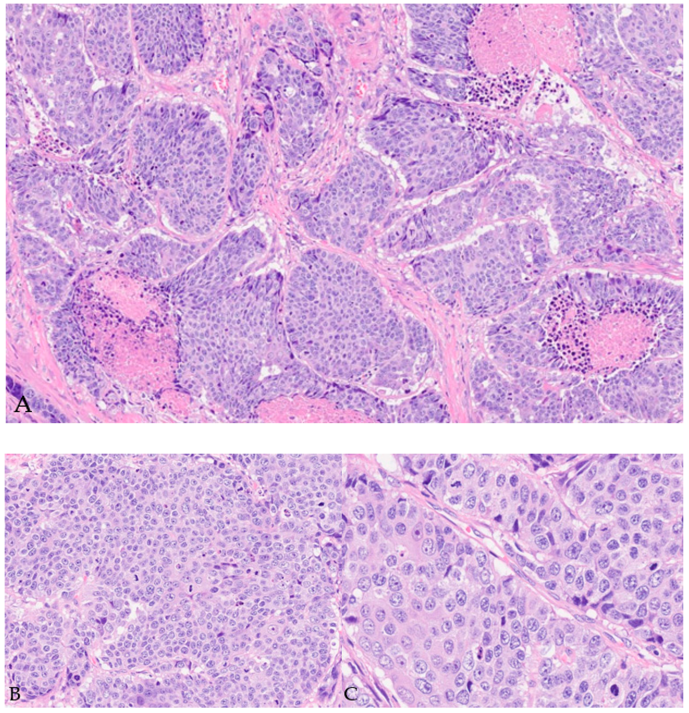 Diagnostics 14 00645 g003 Diagnostics 14 00645 g003