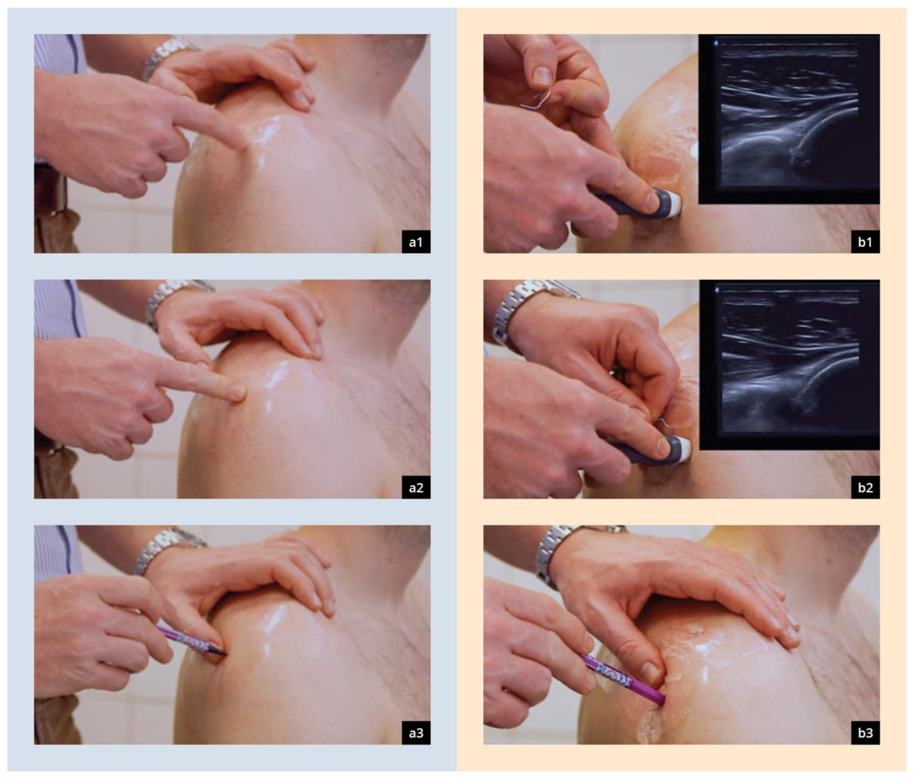 Diagnostics 14 00650 g002