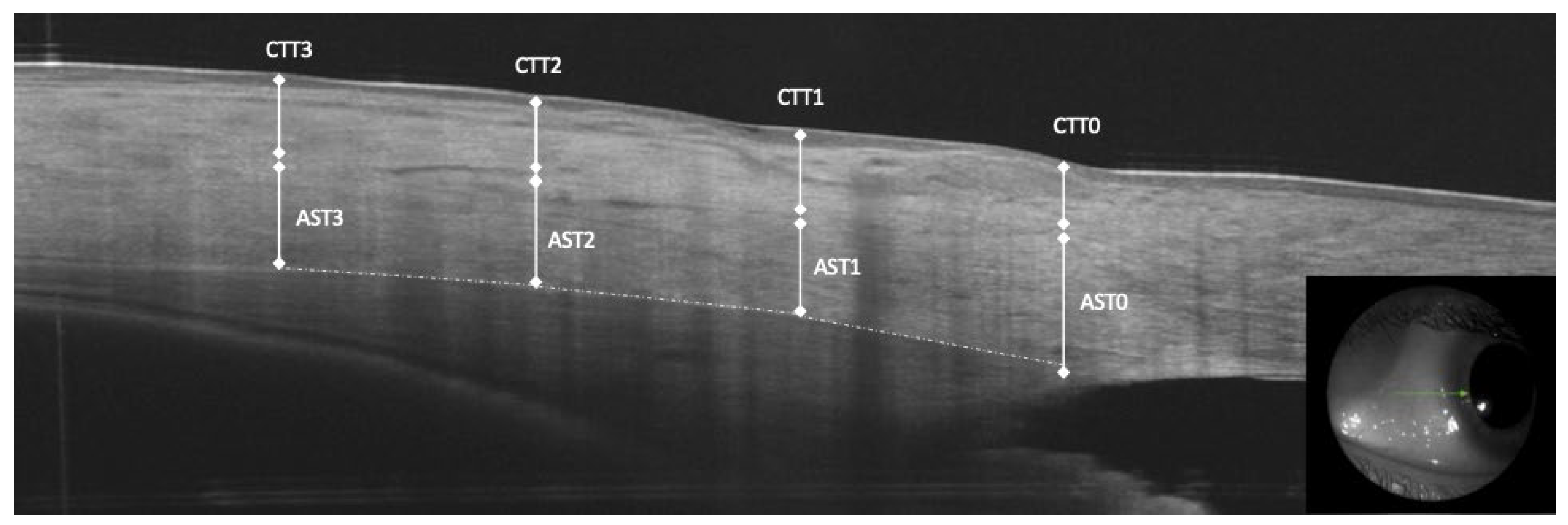 Diagnostics 14 00655 g001 Diagnostics 14 00655 g001